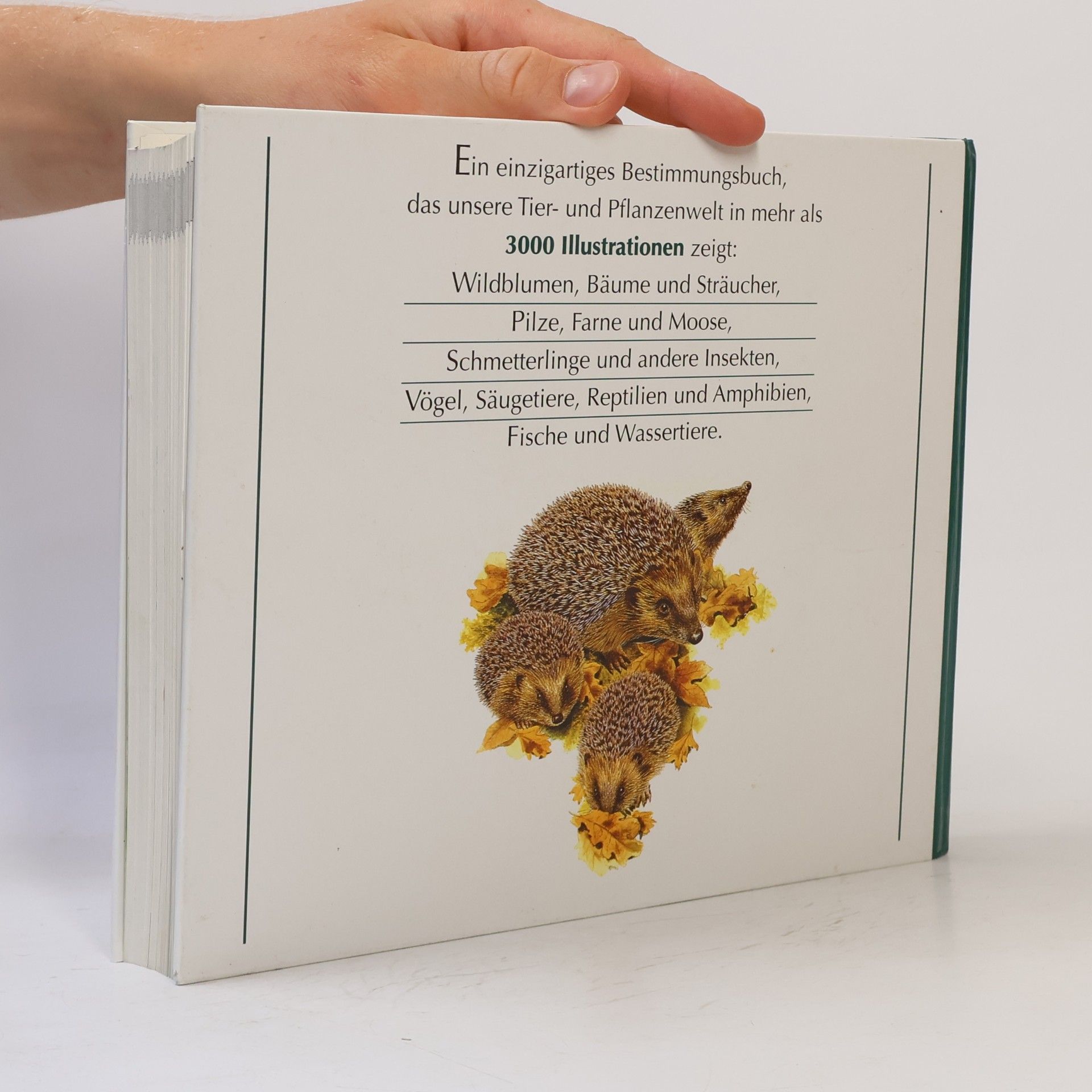 Autores varios Wegweiser durch die Natur. Die Tiere und Pflanzen Mitteleuropas
