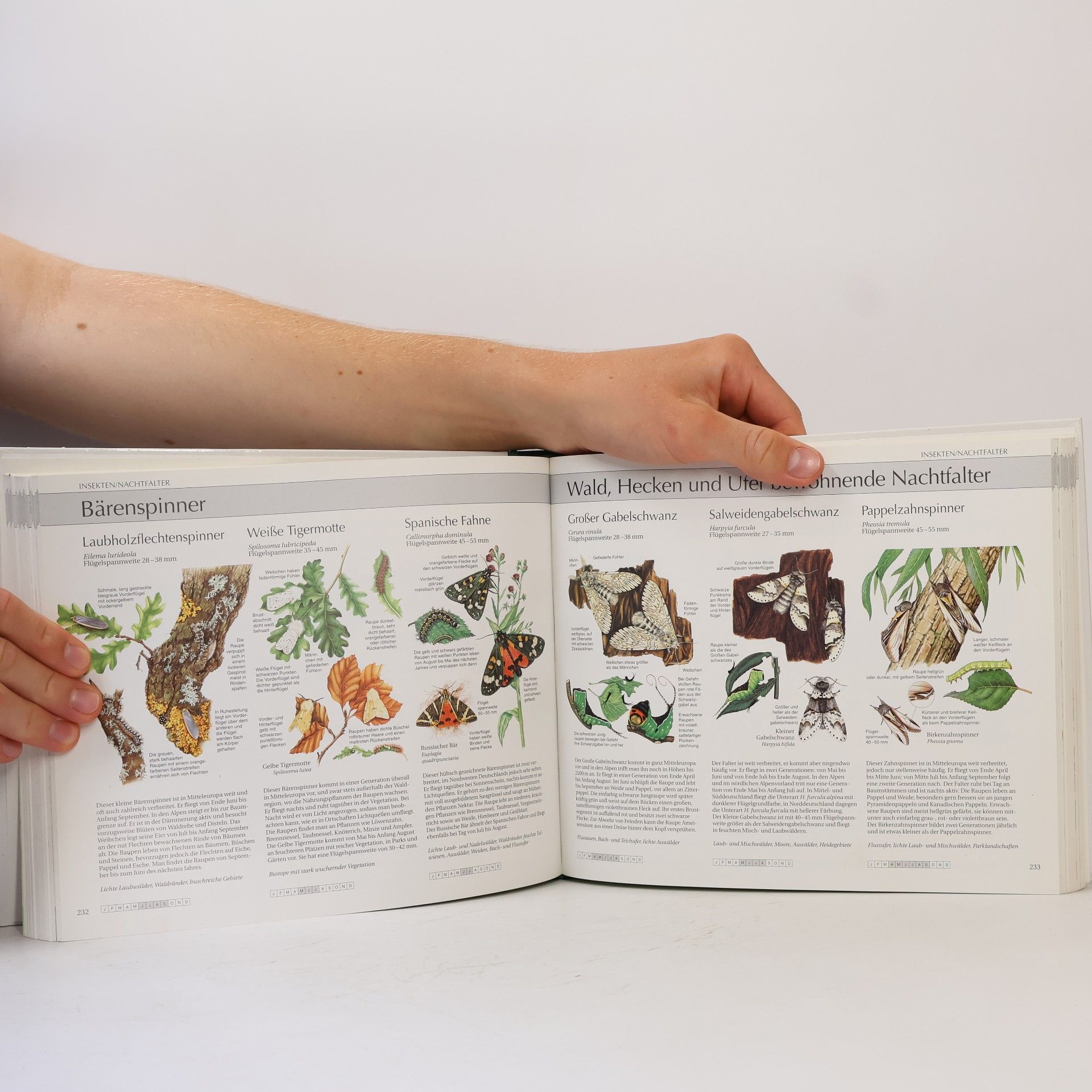 Autores varios Wegweiser durch die Natur. Die Tiere und Pflanzen Mitteleuropas