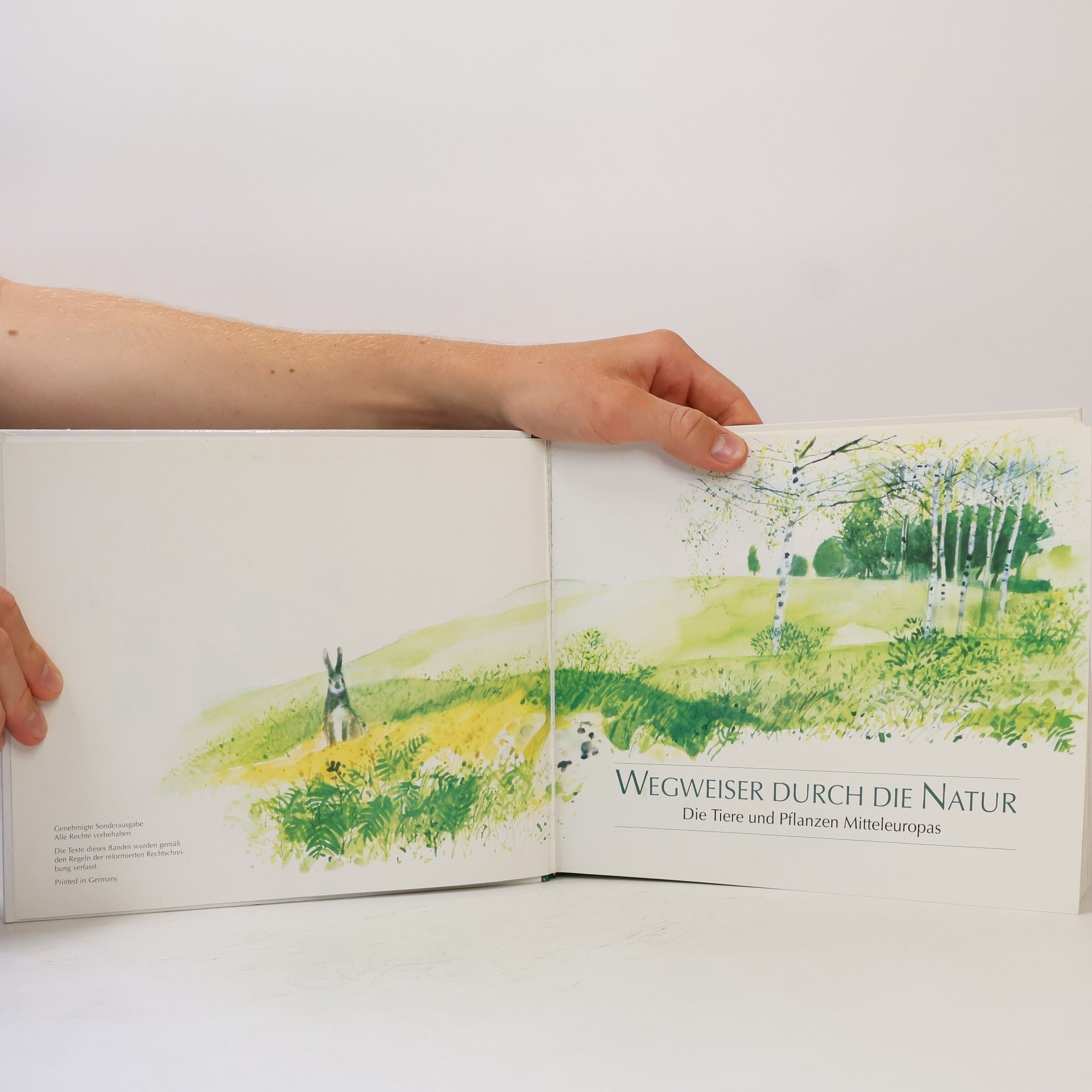 Autores varios Wegweiser durch die Natur. Die Tiere und Pflanzen Mitteleuropas