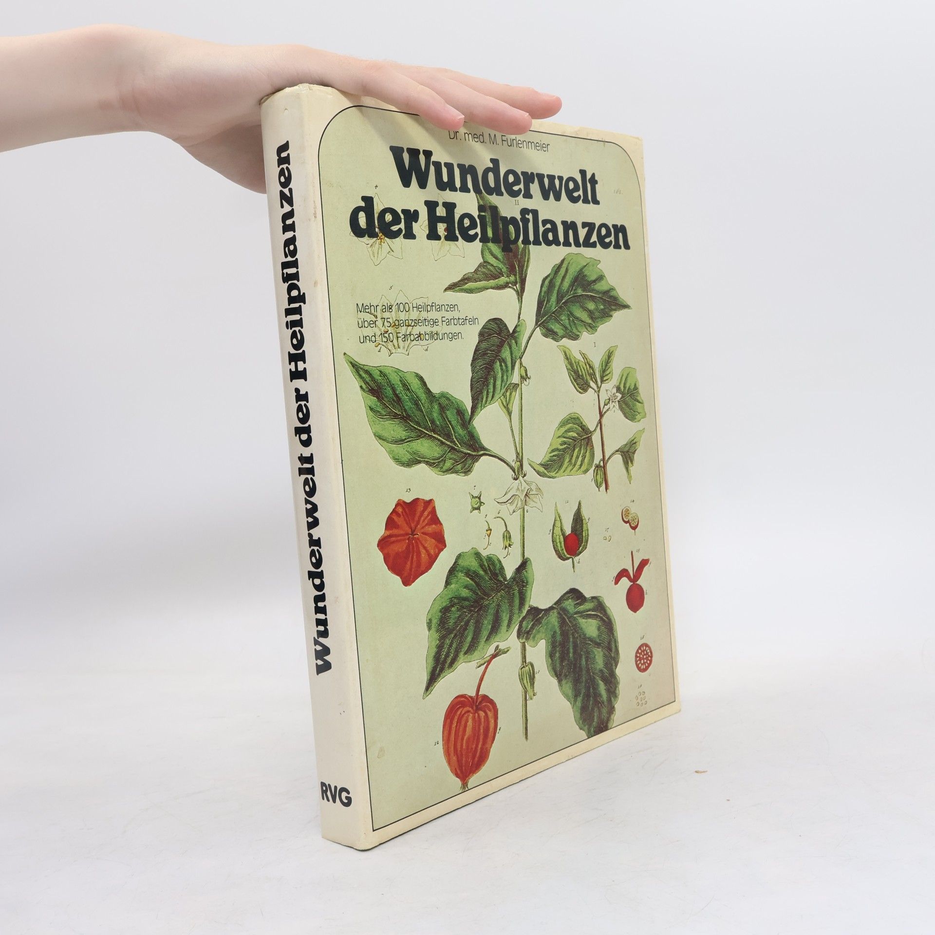 Wunderwelt der Heilpflanzen