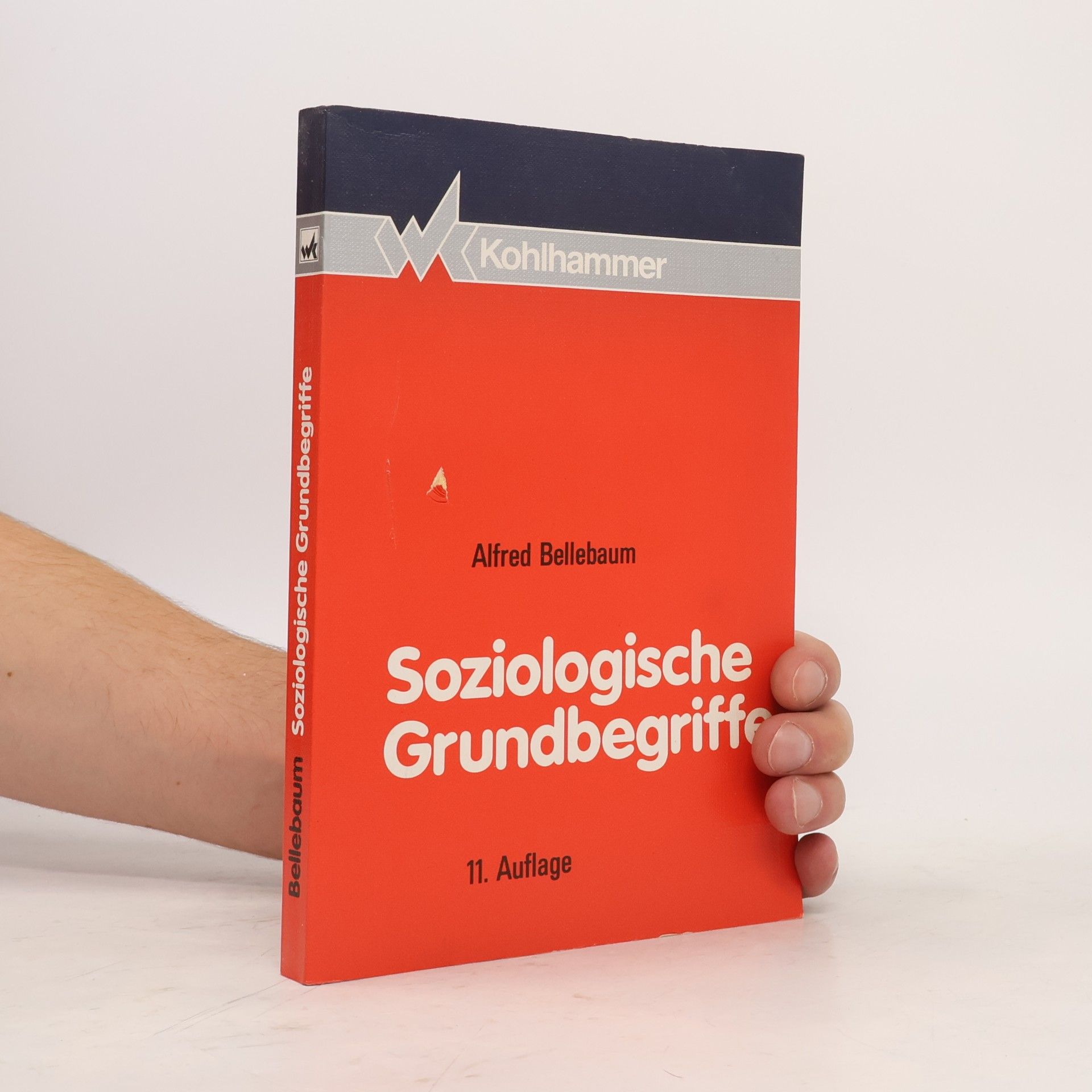 Alfred Bellebaum Soziologische Grundbegriffe - 11. Auflage