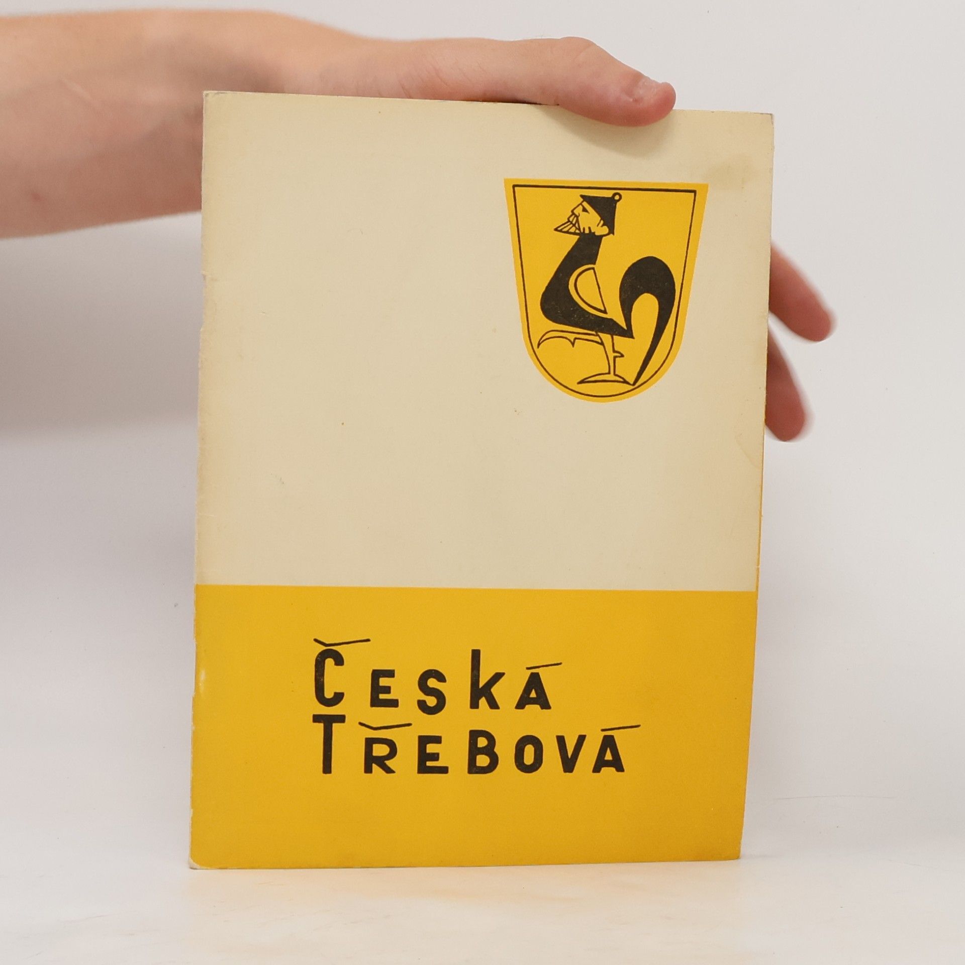 kolektiv Česká Třebová