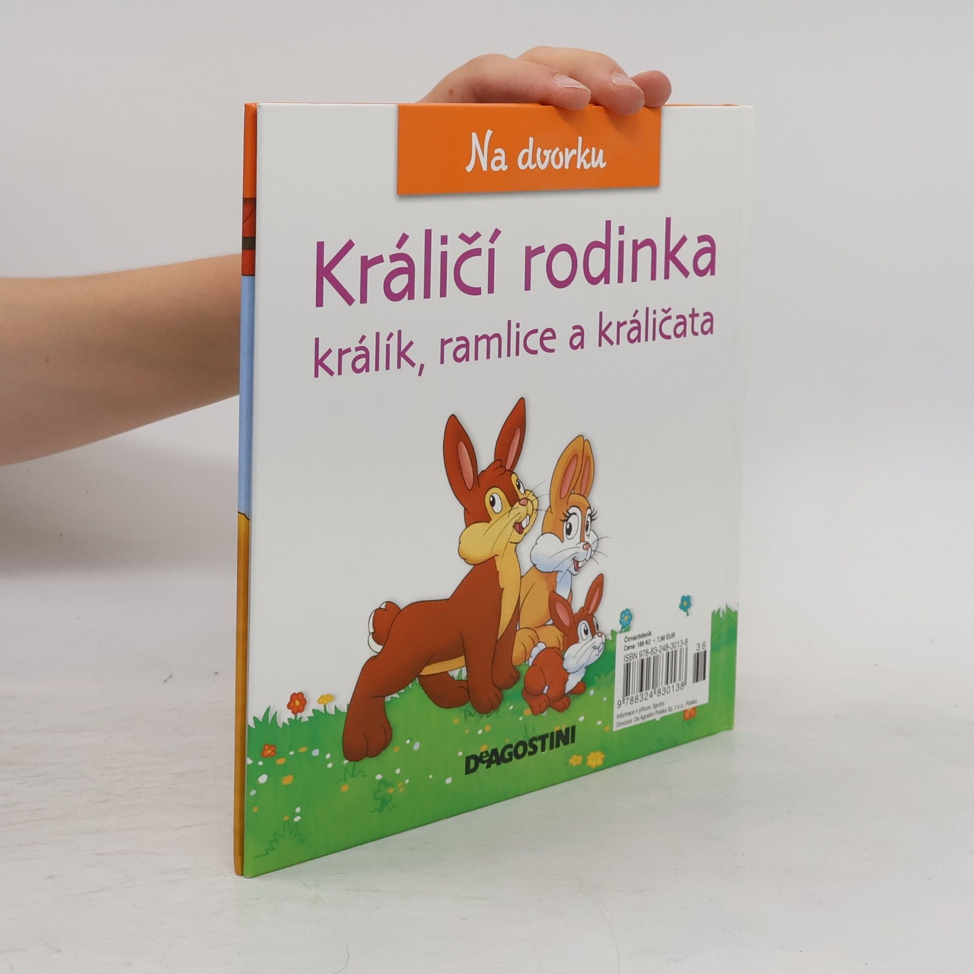 Auteurscollectief Na dvorku 41. Králičí rodinka