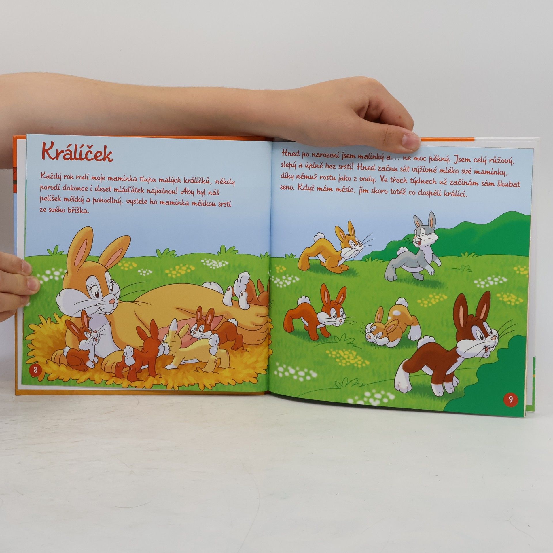 Auteurscollectief Na dvorku 41. Králičí rodinka