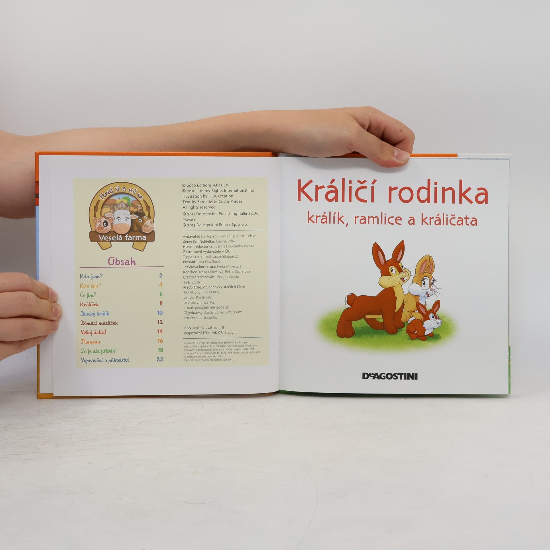 Auteurscollectief Na dvorku 41. Králičí rodinka