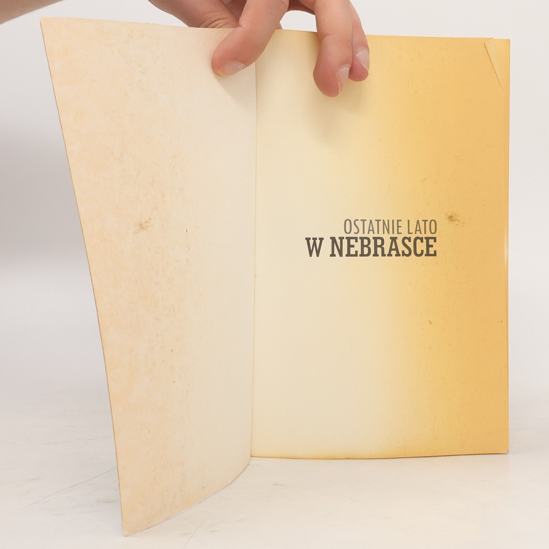 Nele Neuhaus Ostatnie lato w Nebrasce