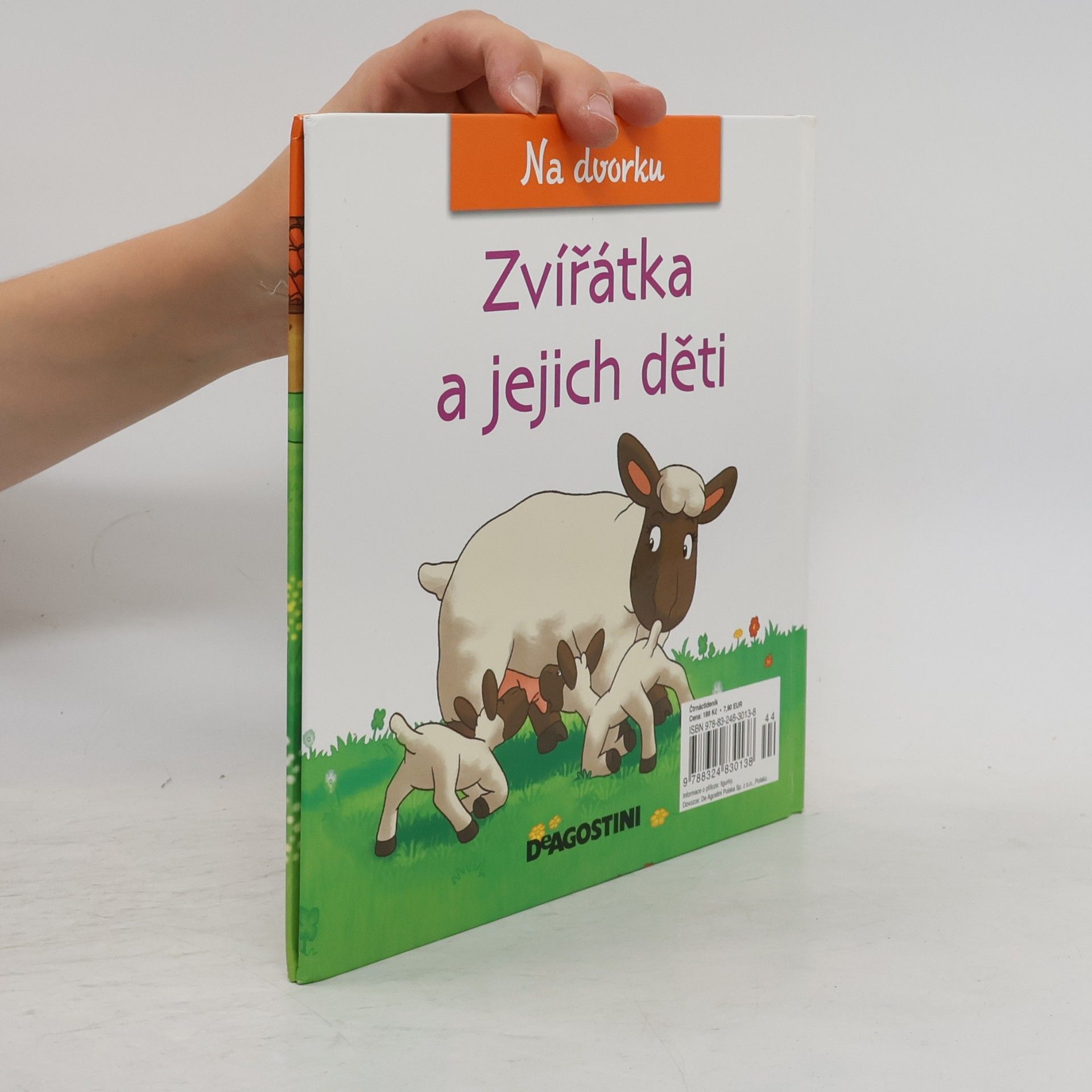 Collectif d'auteurs Na dvorku 19. Zvířátka a jejich děti