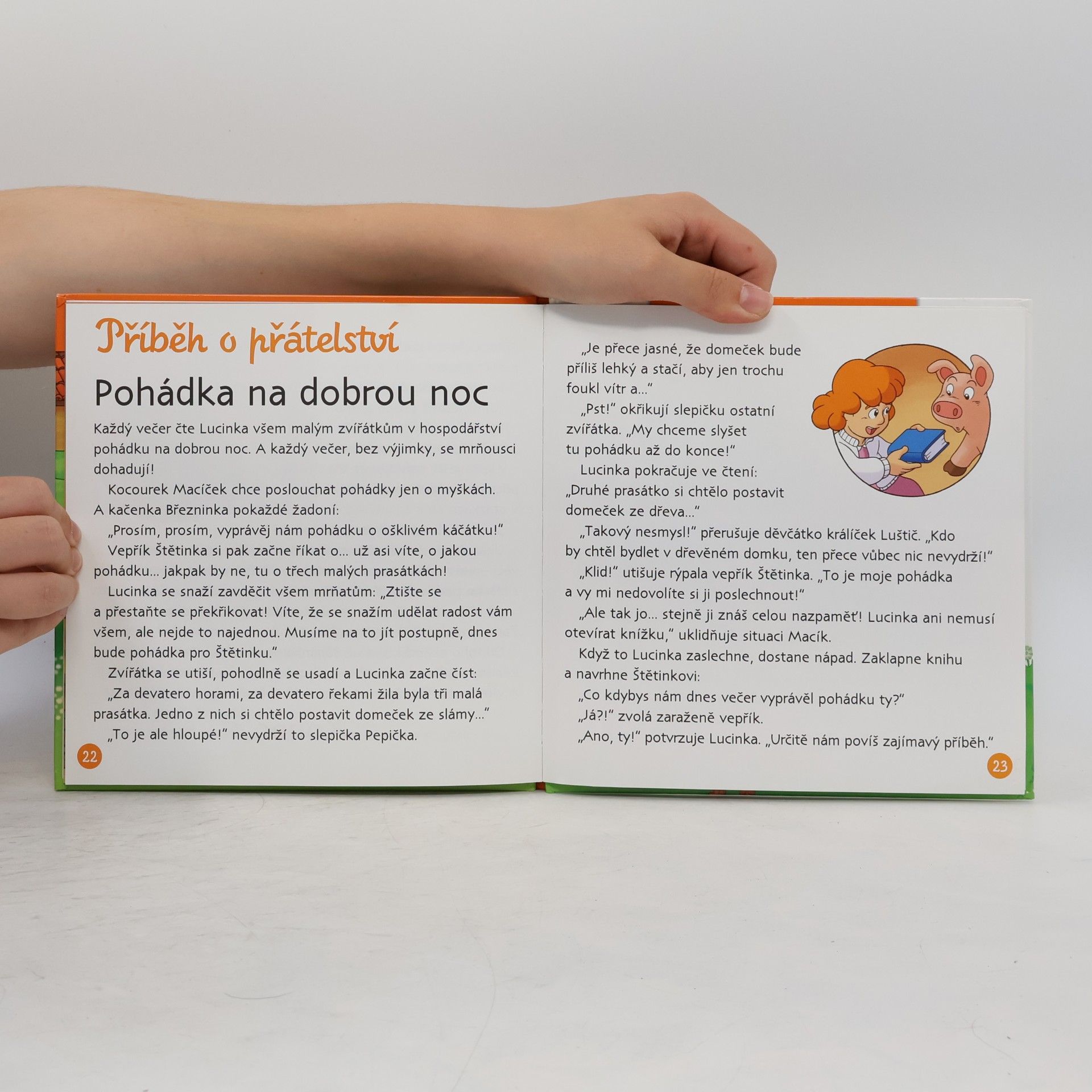 Collectif d'auteurs Na dvorku 19. Zvířátka a jejich děti
