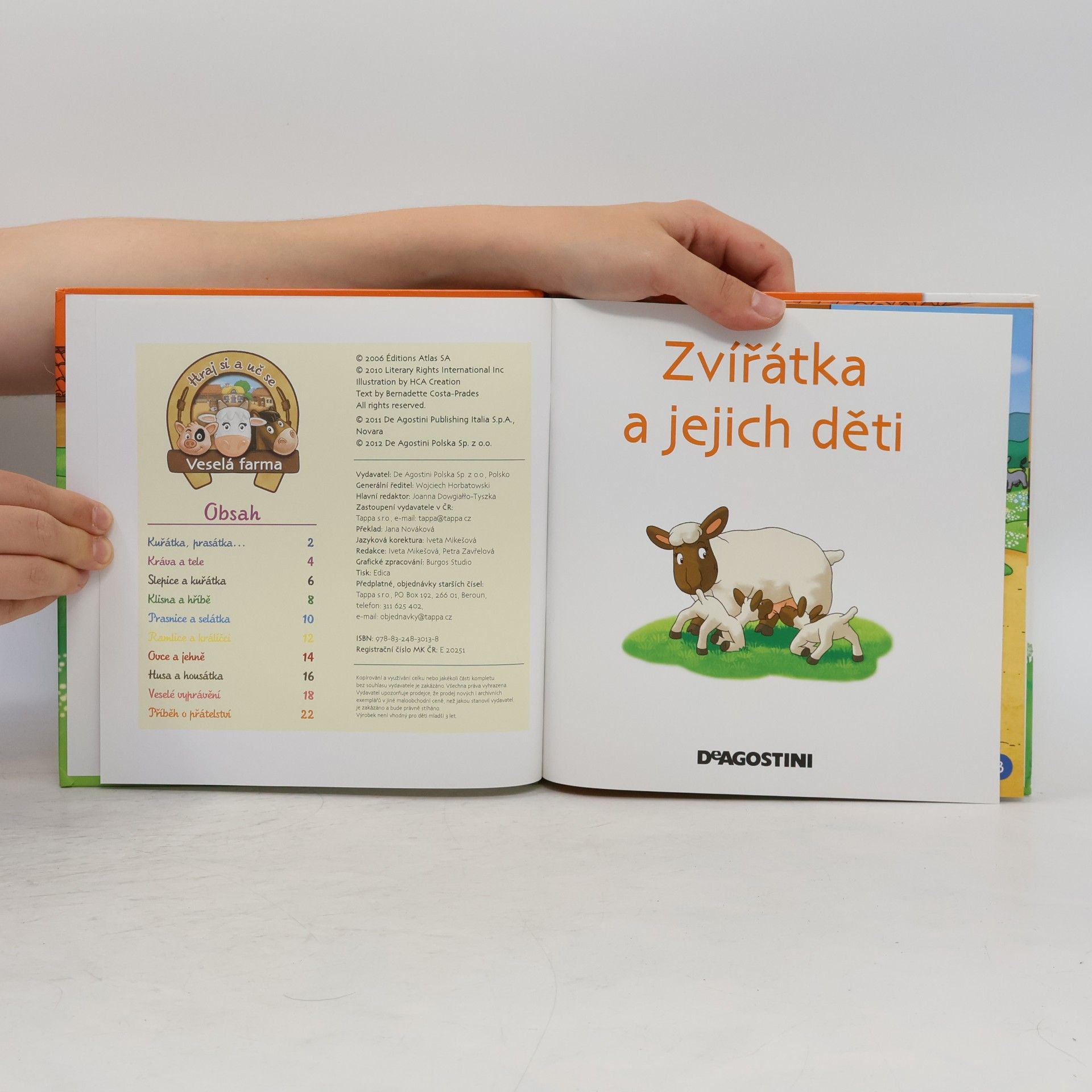 Collectif d'auteurs Na dvorku 19. Zvířátka a jejich děti
