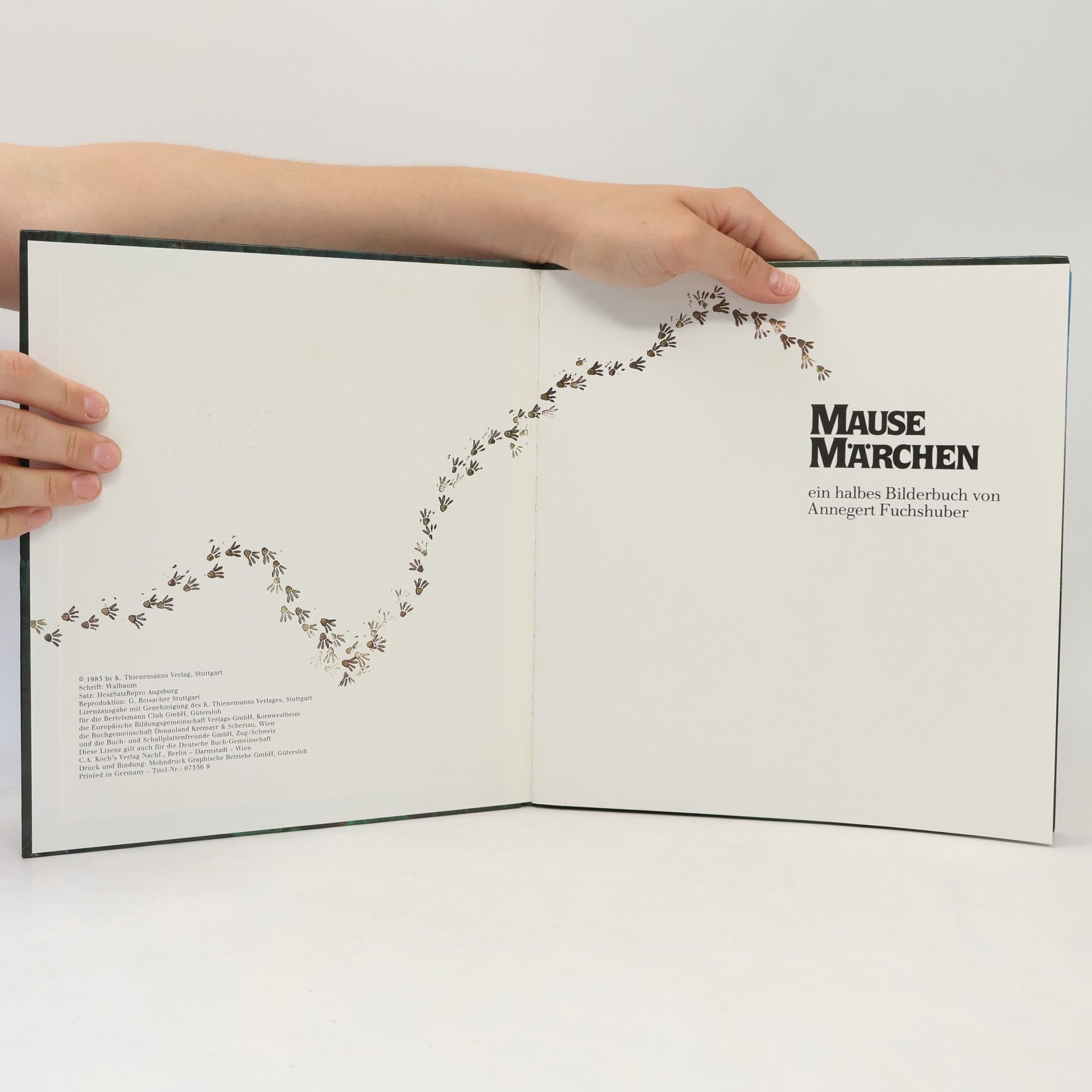 Autorenkollektiv Mause Märchen