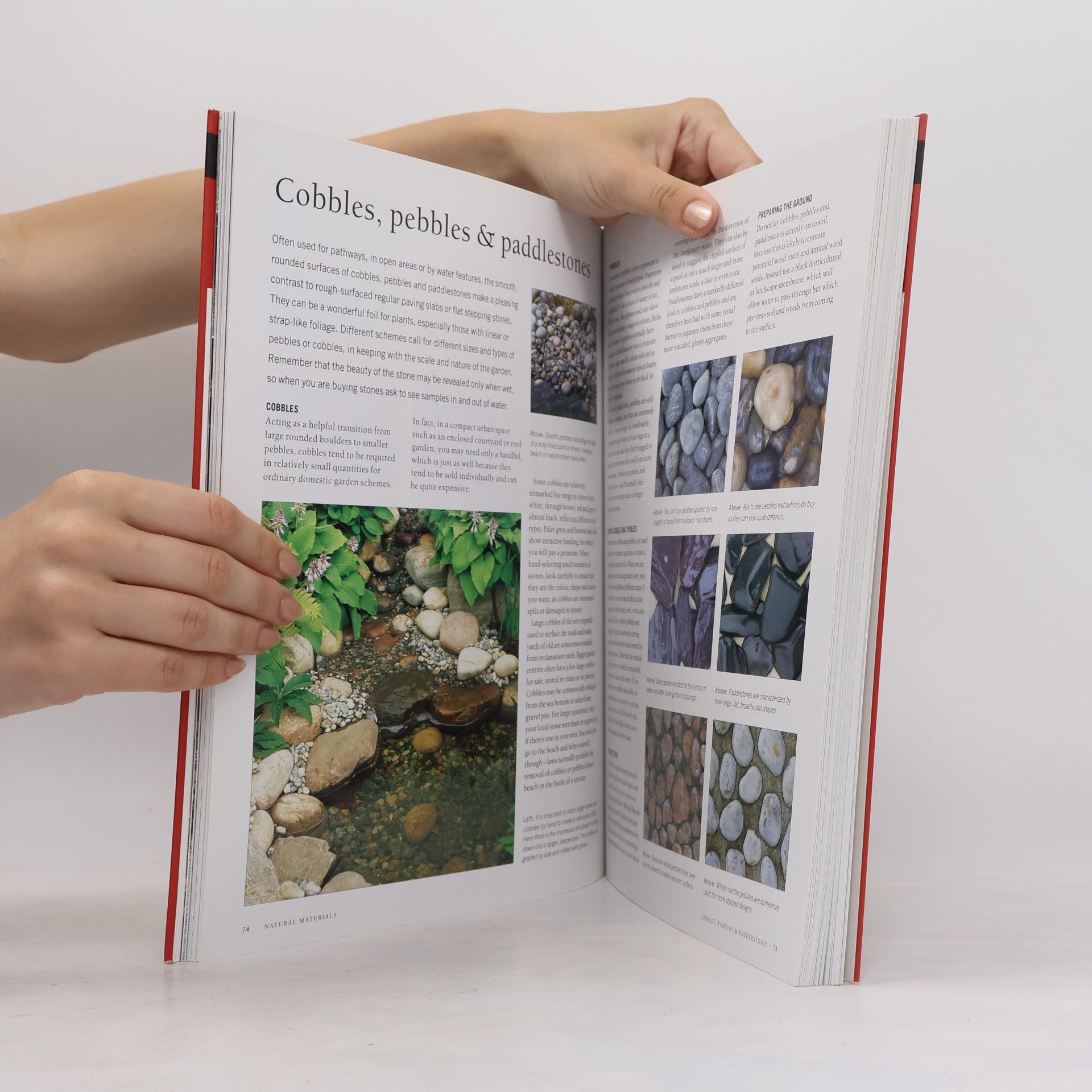 Charles Chesshire The illustrated encyclopedia of Japanese gardening