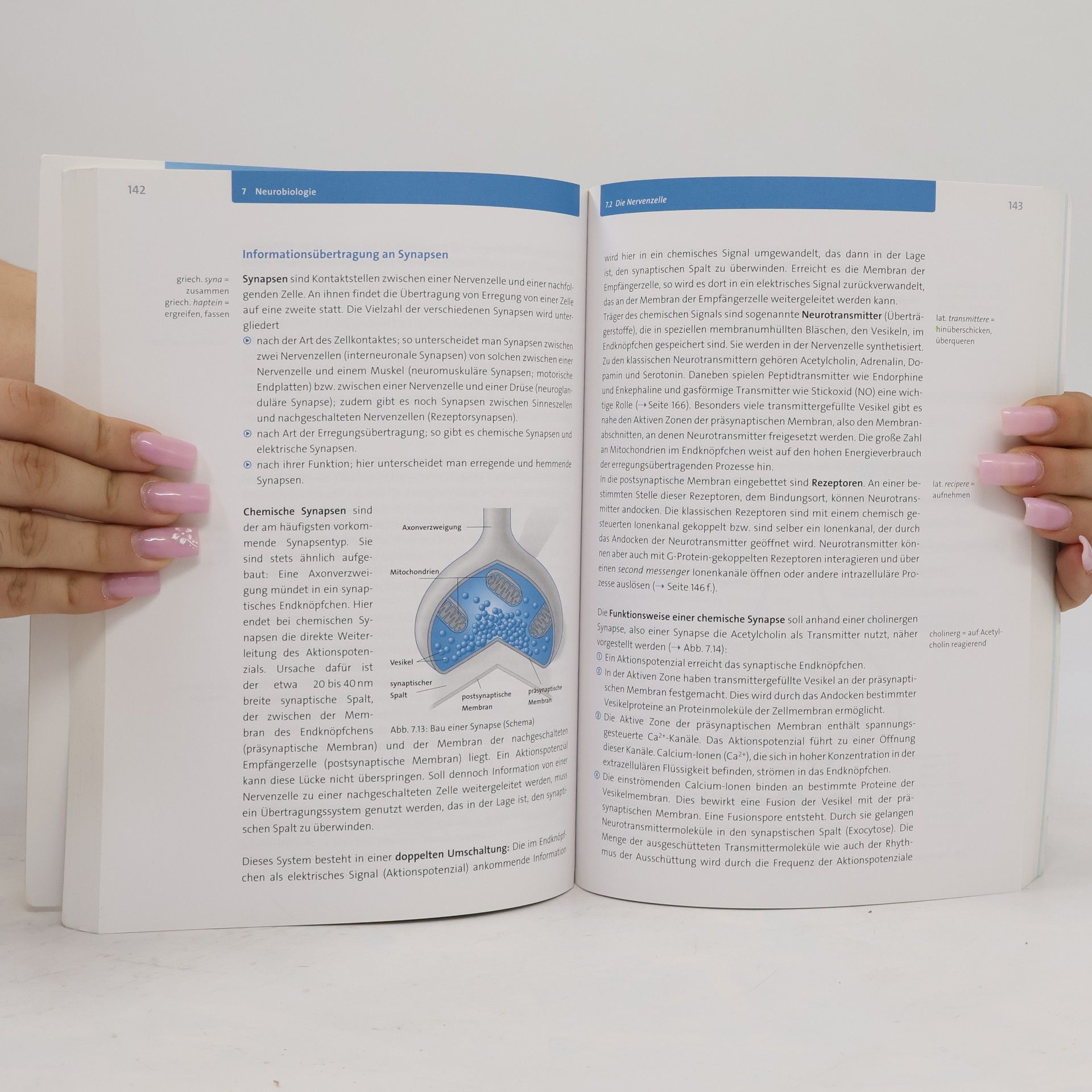 Michel Walory Fit fürs Abi. Biologie Oberstufenwissen