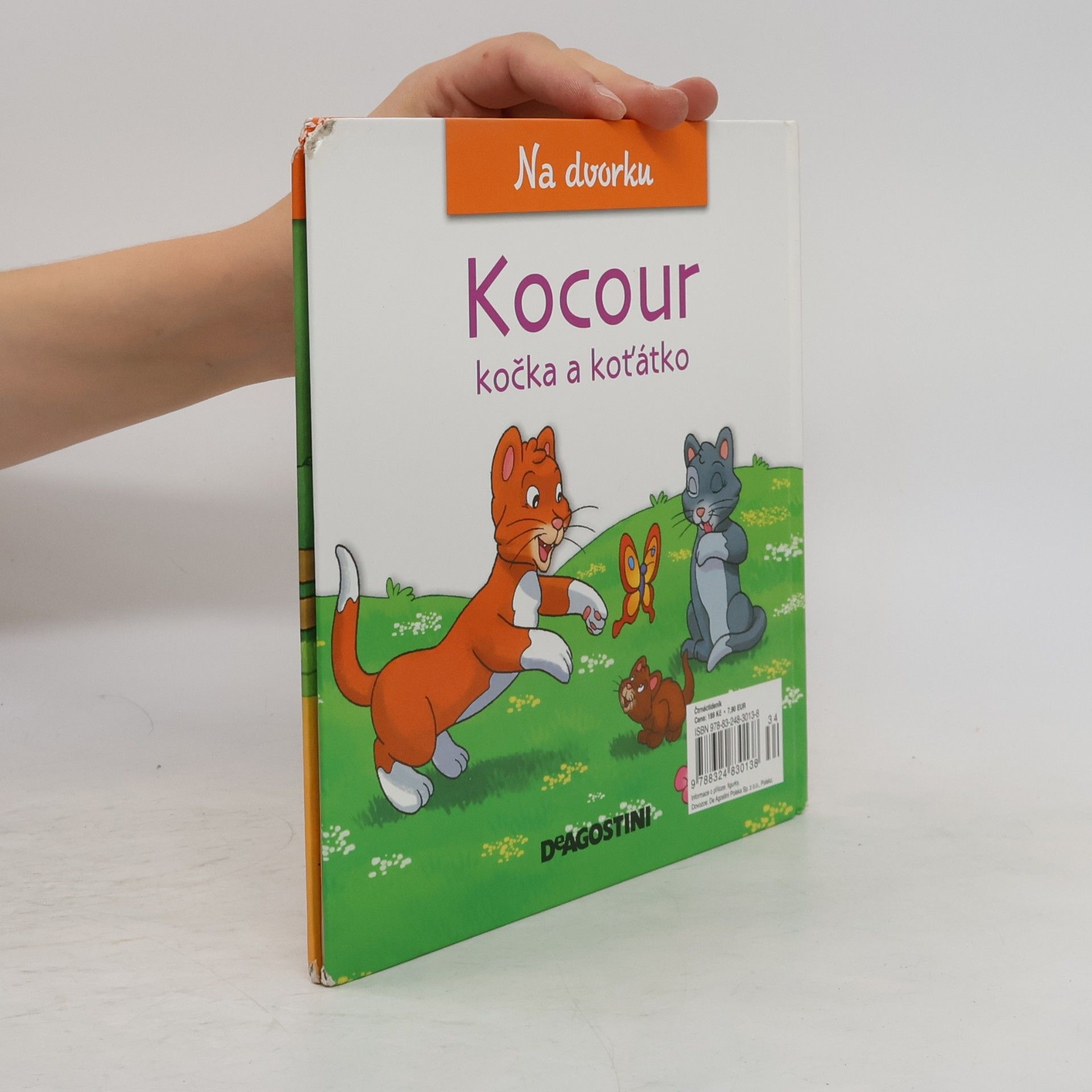 Autorenkollektiv Na dvorku 14. Kocour