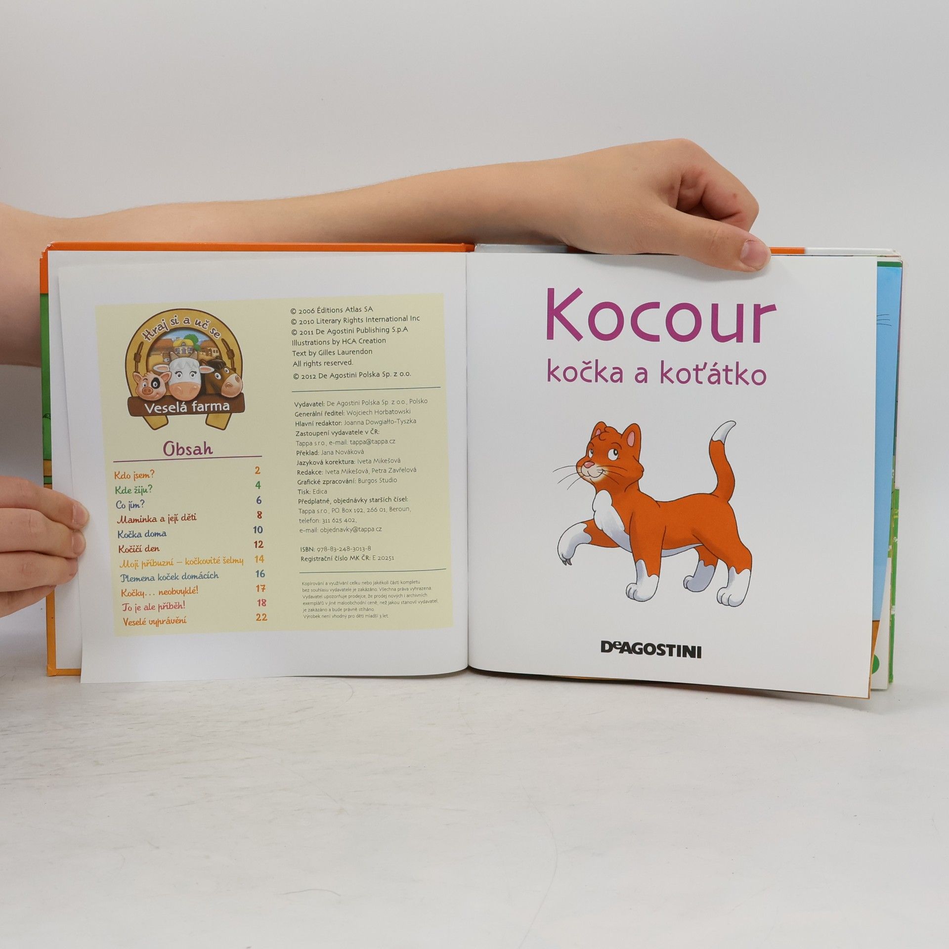 Autorenkollektiv Na dvorku 14. Kocour