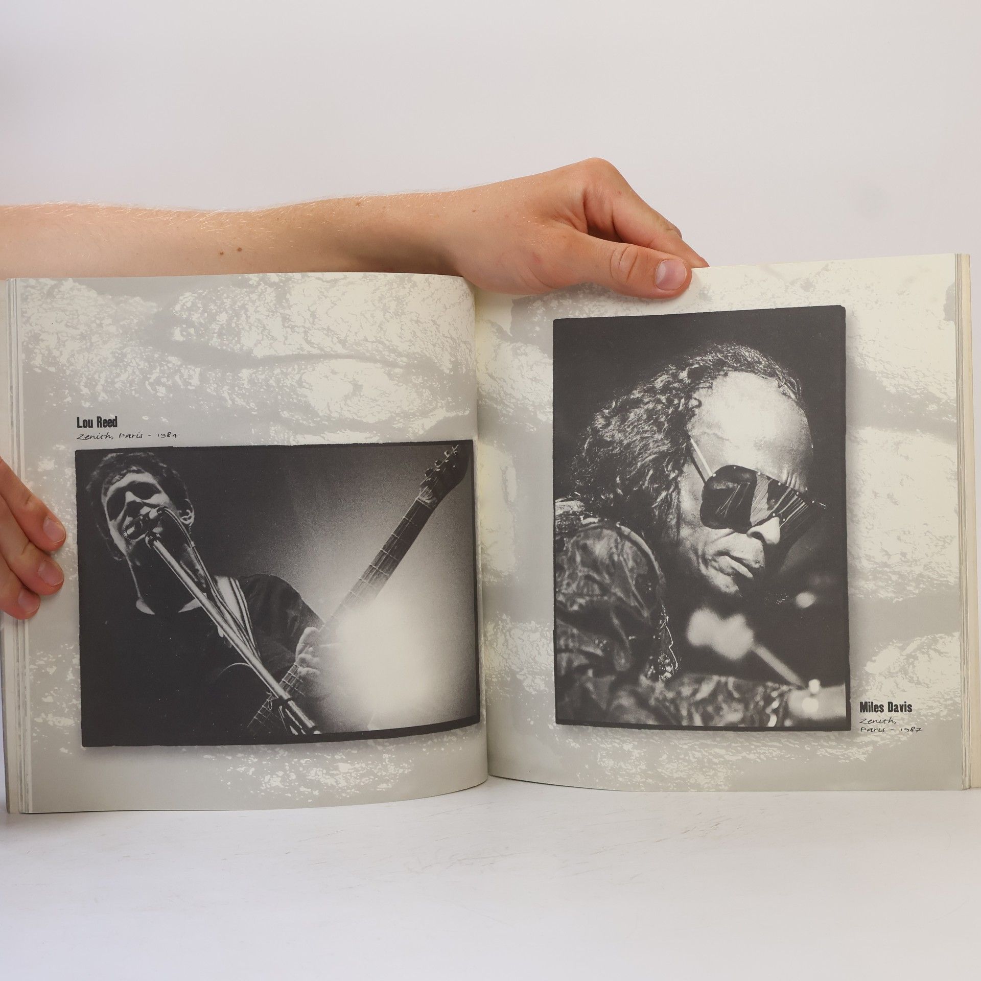 Pierre Terrasson Living Rock
