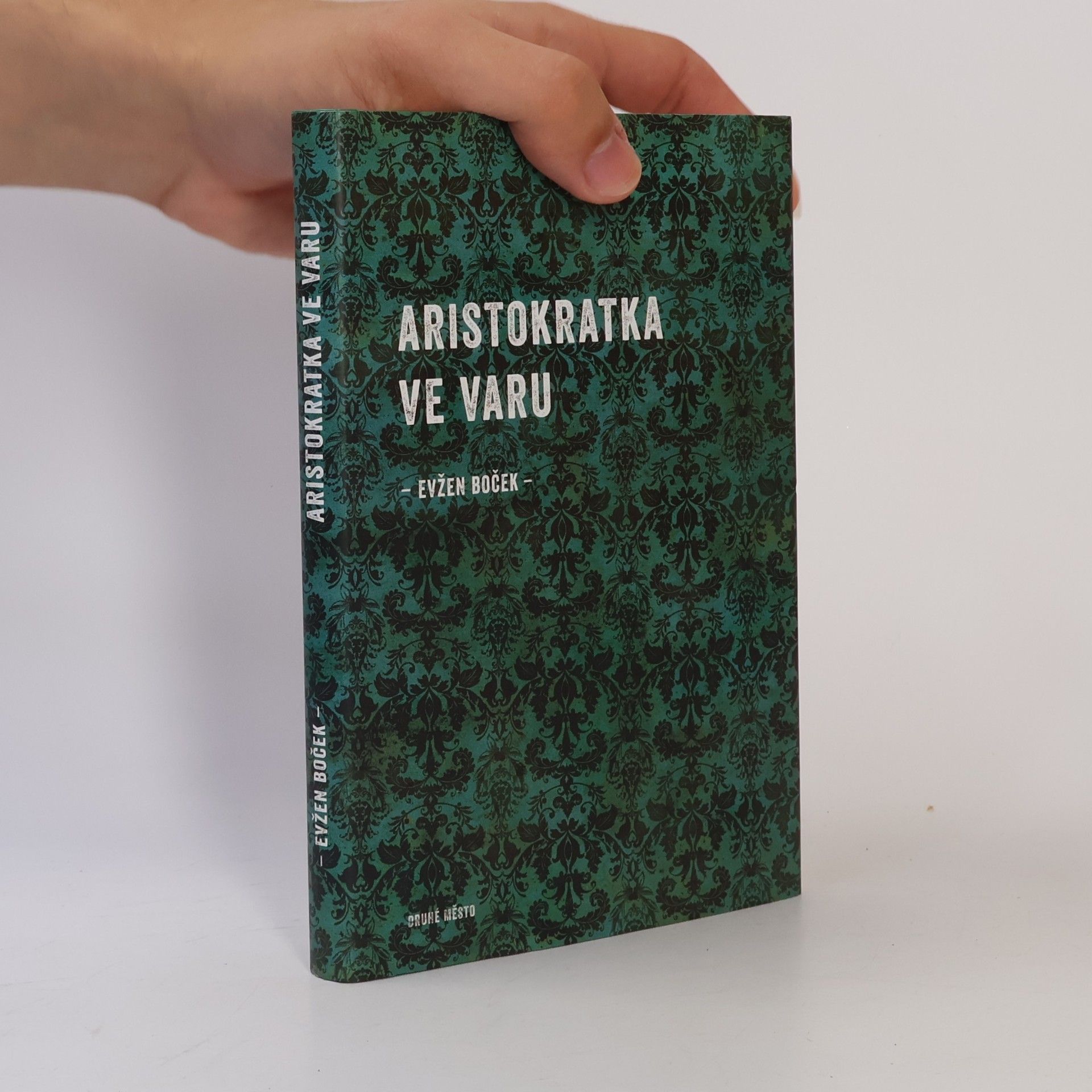 Evžen Boček Aristokratka ve varu