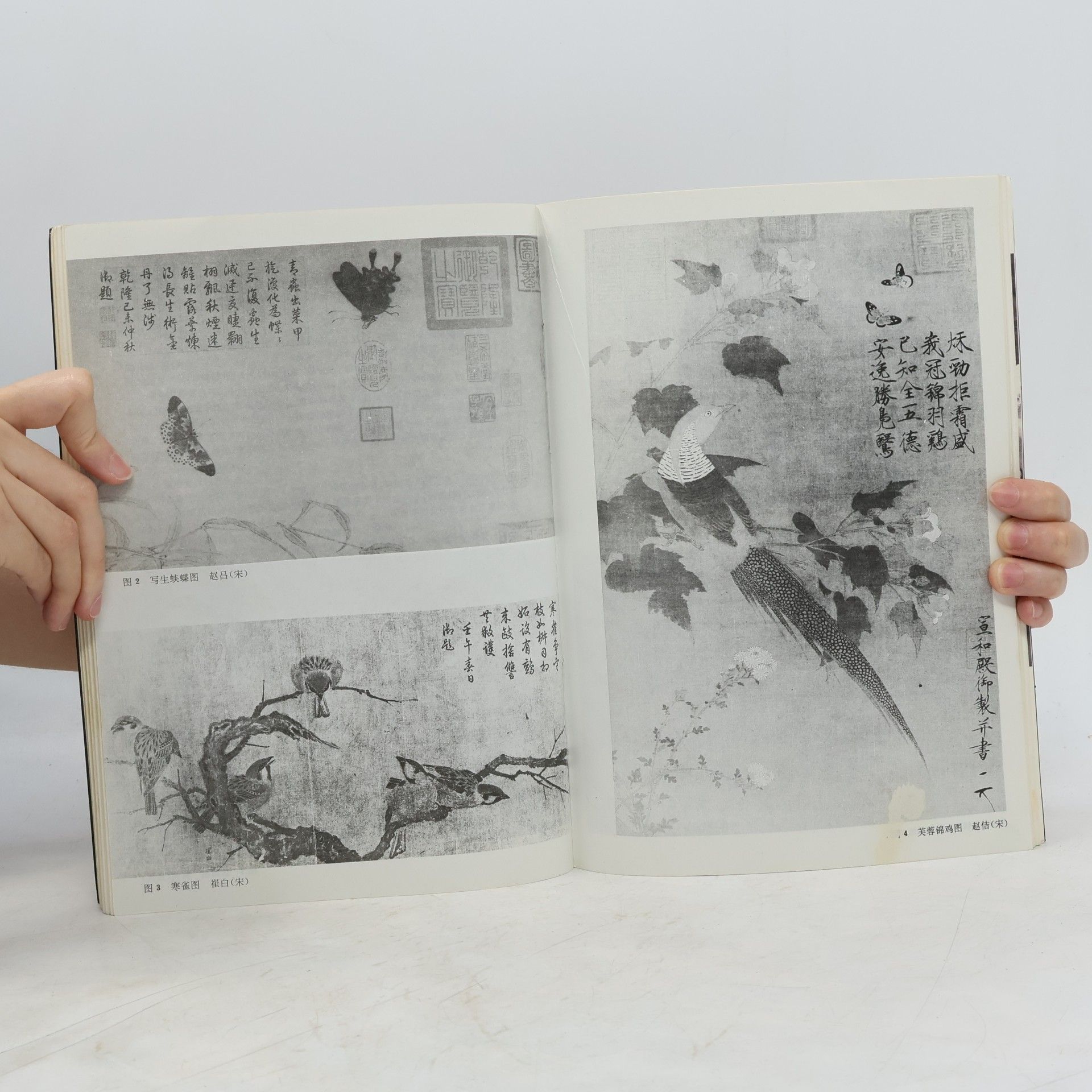 金鸿钧 工笔花鸟画技法