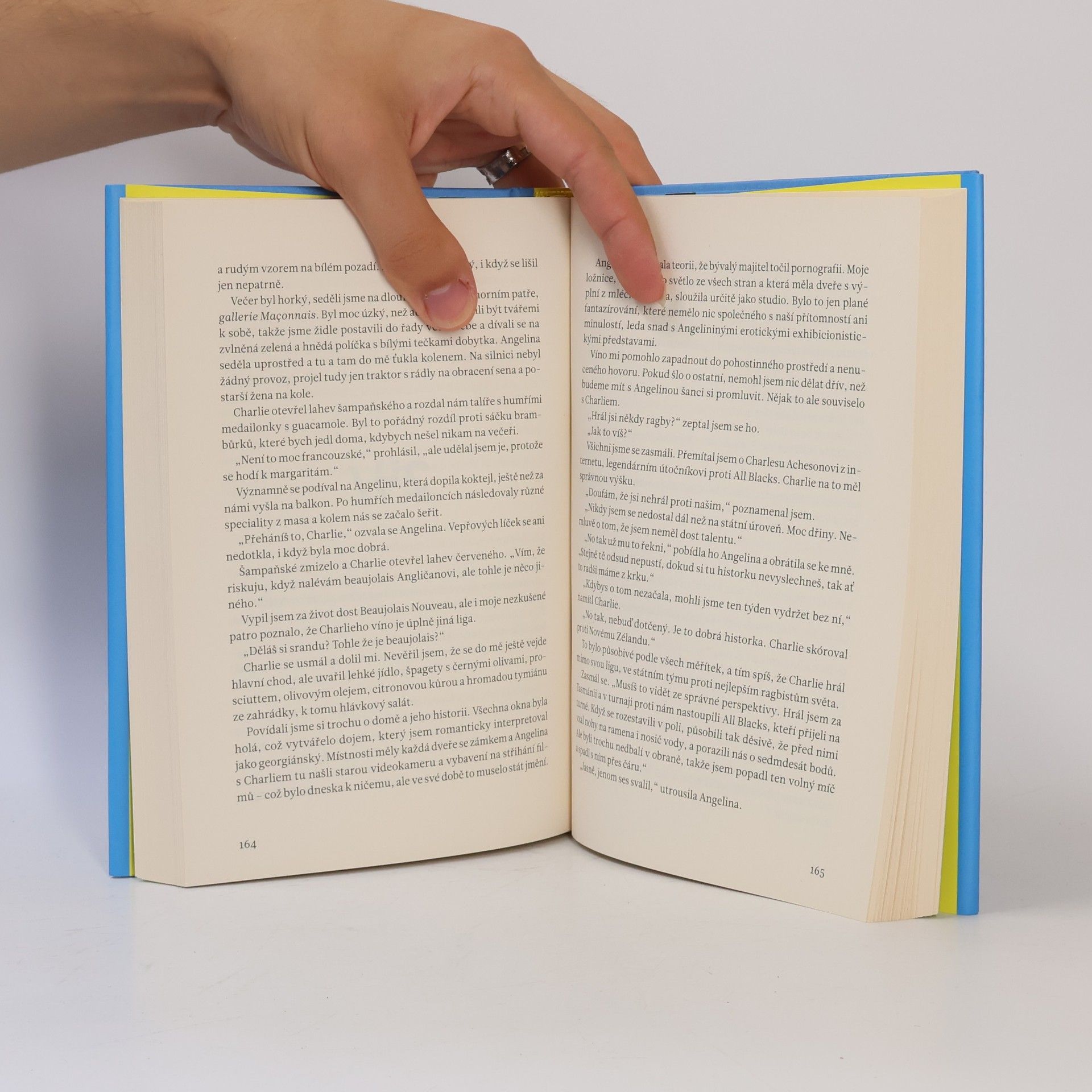 Graeme Simsion Dozvuky mých lásek