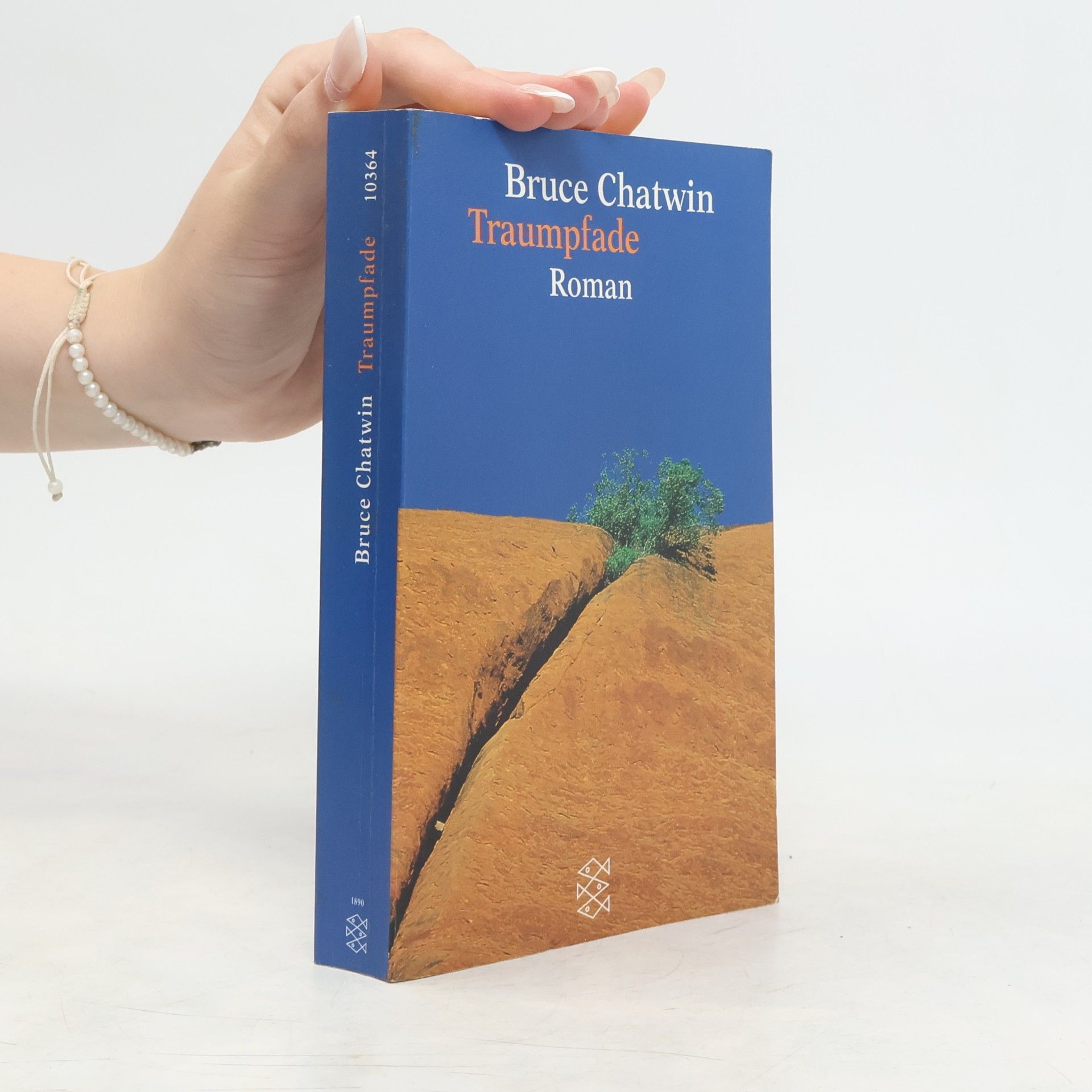 Bruce Chatwin Traumpfade