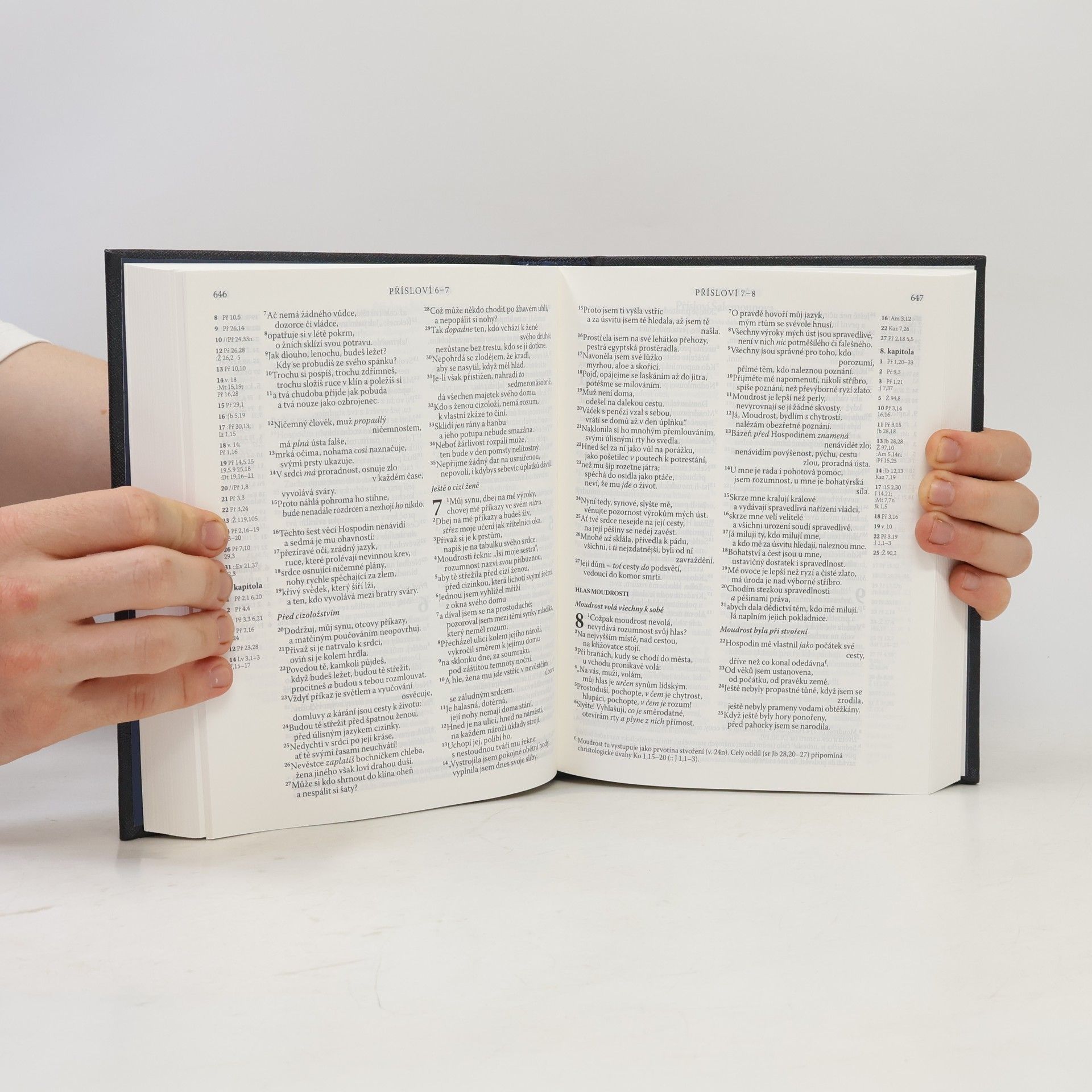 Various authors Bible : Písmo svaté Starého a Nového zákona
