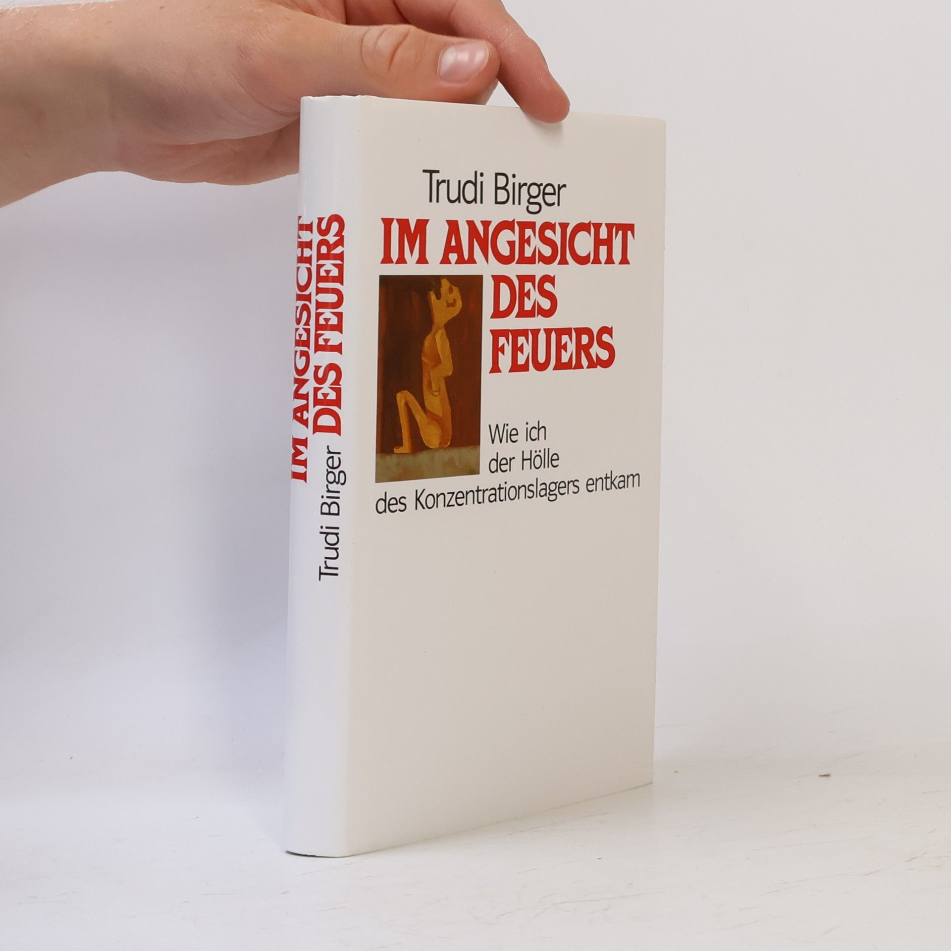 Trudi Birger Im Angesicht des Feuers