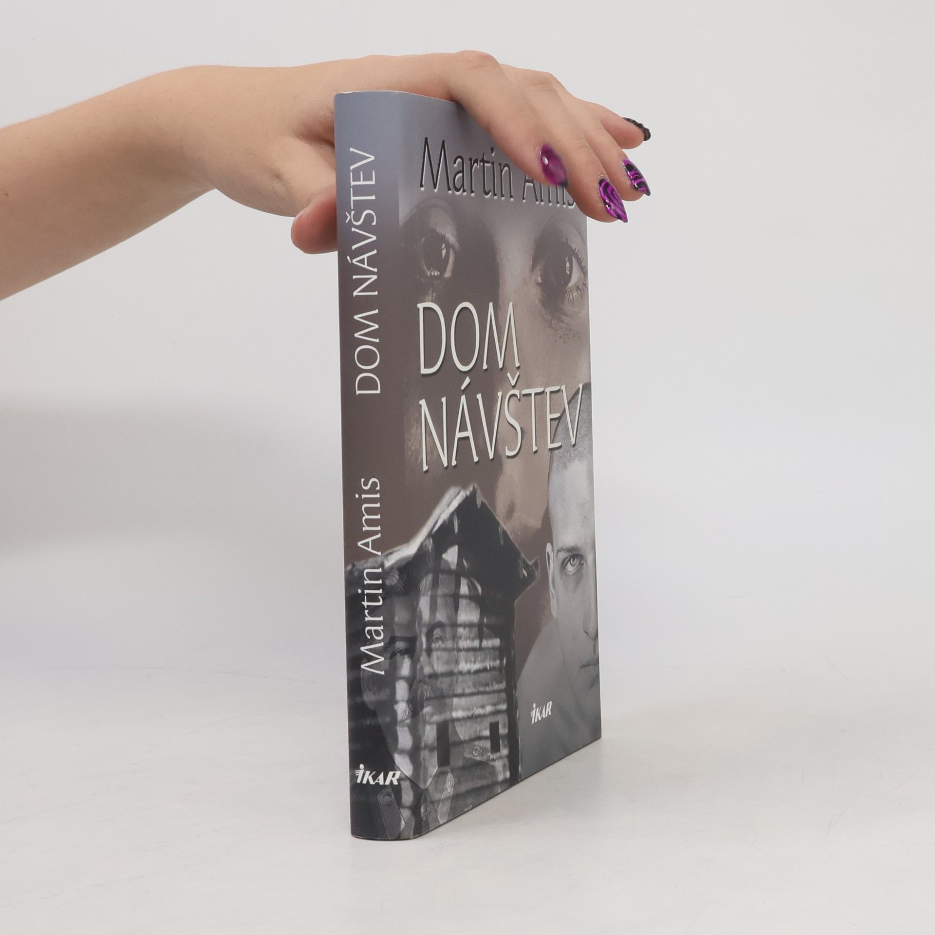Martin Amis Dom návštev