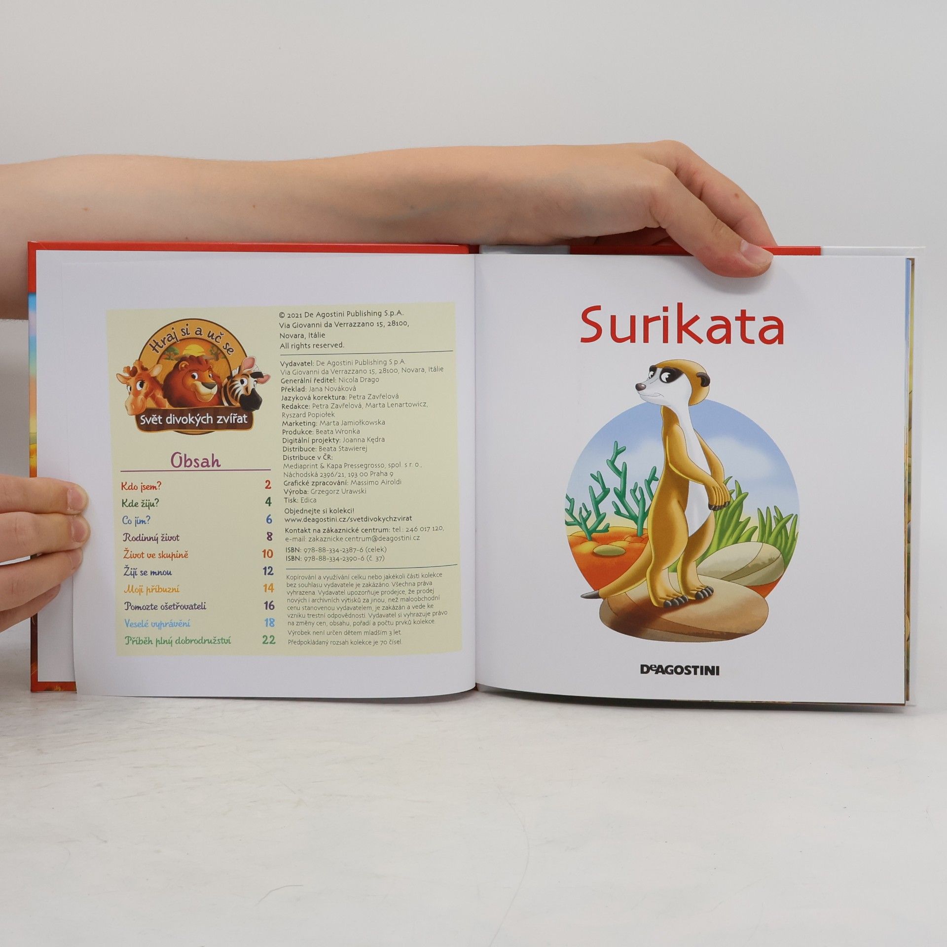 Autorenkollektiv Surikata