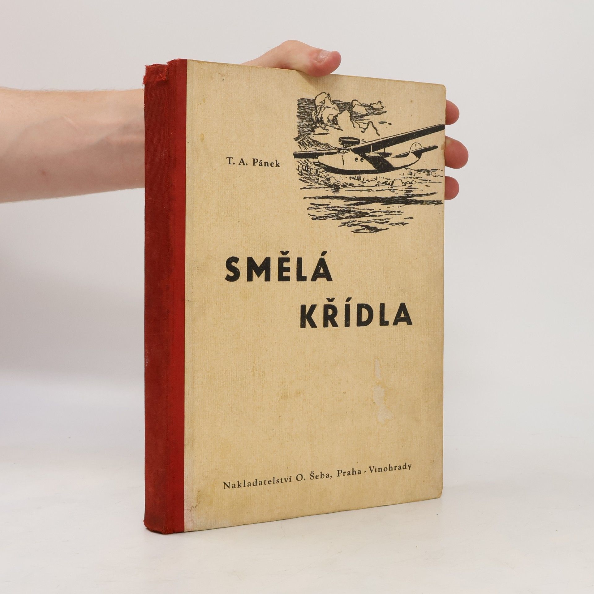 Pánek T. A. Smělá křídla