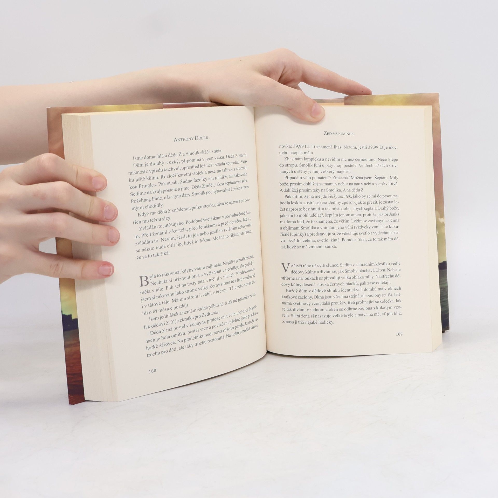 Anthony Doerr Zeď vzpomínek