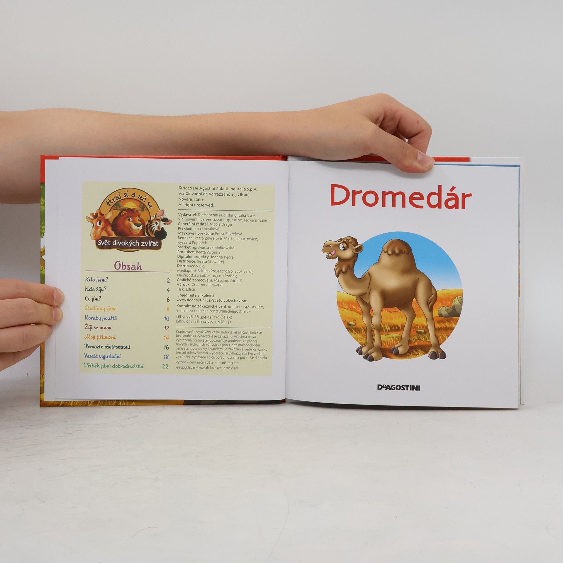 Autorenkollektiv Bydlím v savaně 25. Dromedár