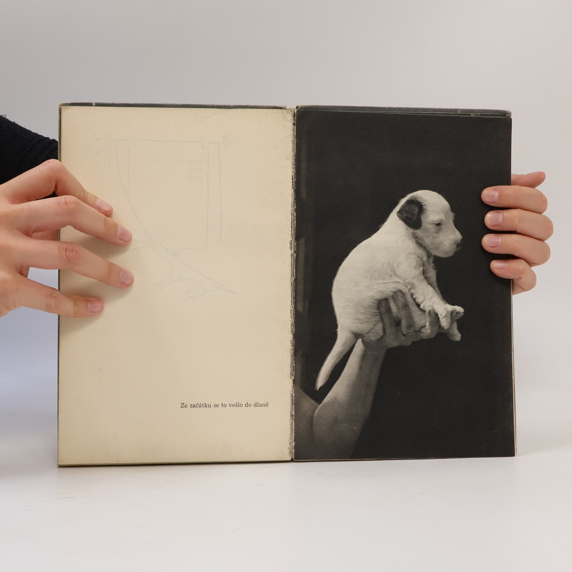Karel Čapek Dášeňka čili Život štěněte