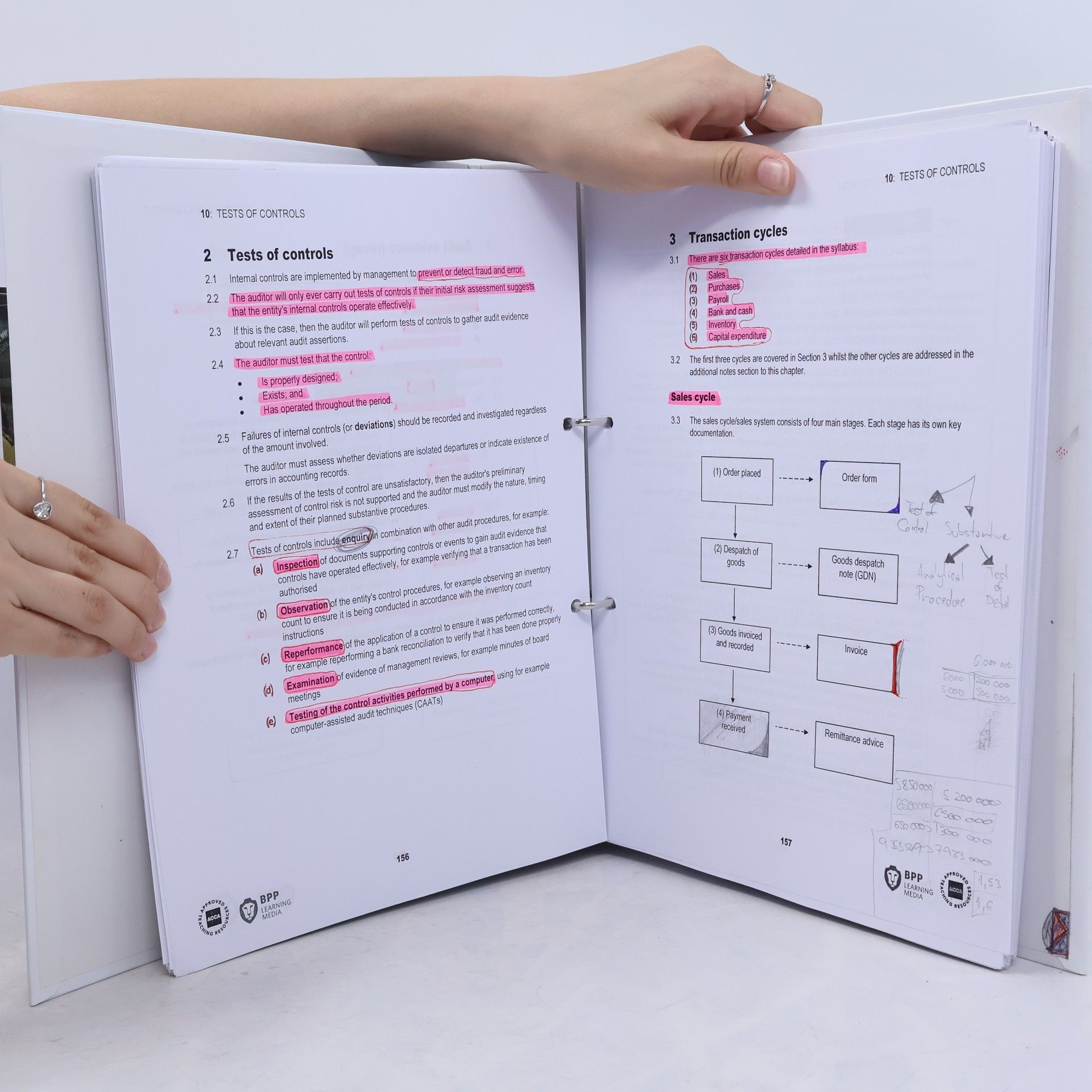 Autorenkollektiv Audit and Assurance (AA) Study Programme