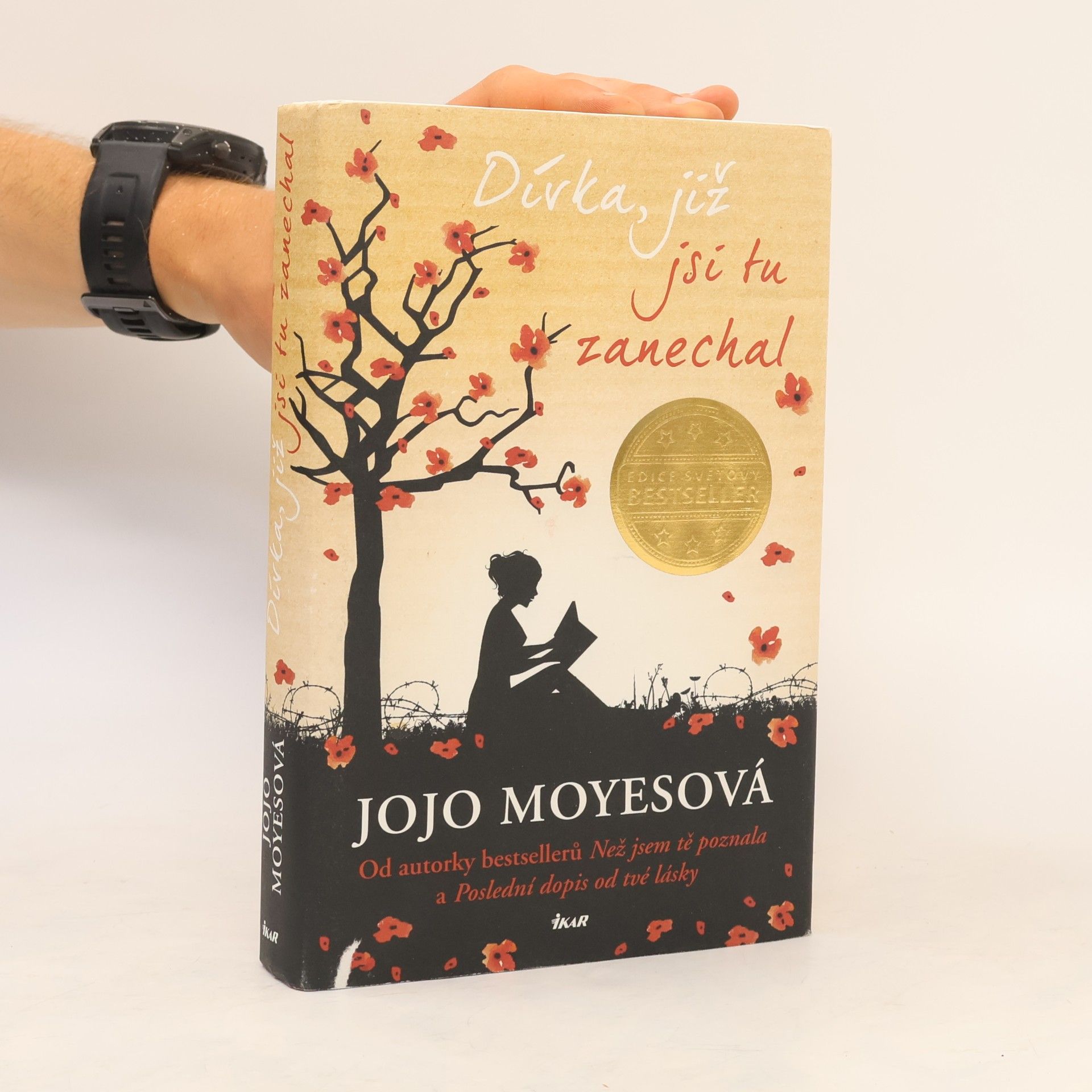Jojo Moyes Dívka, již jsi tu zanechal