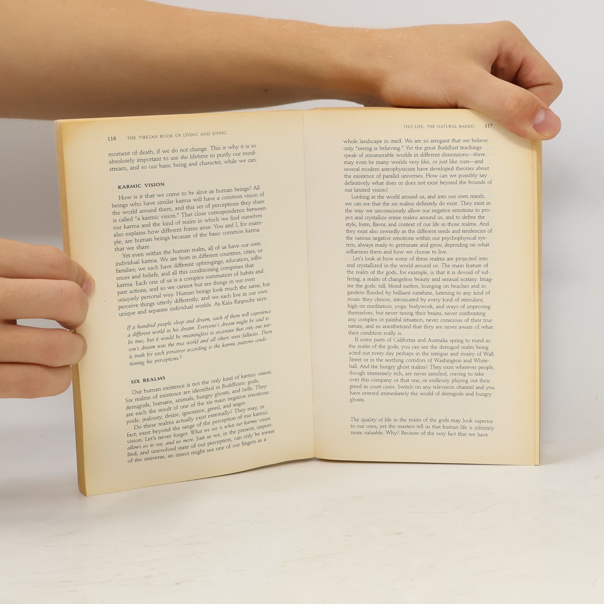 Sogyal Rinpoche The Tibetan Book of Living and Dying