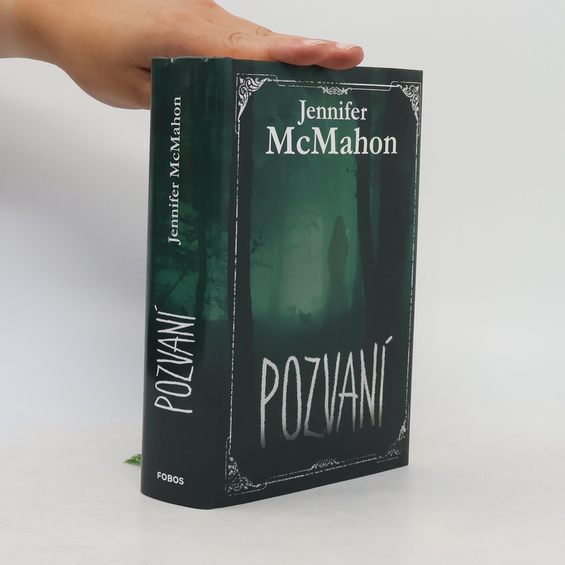 Jennifer McMahon Pozvaní