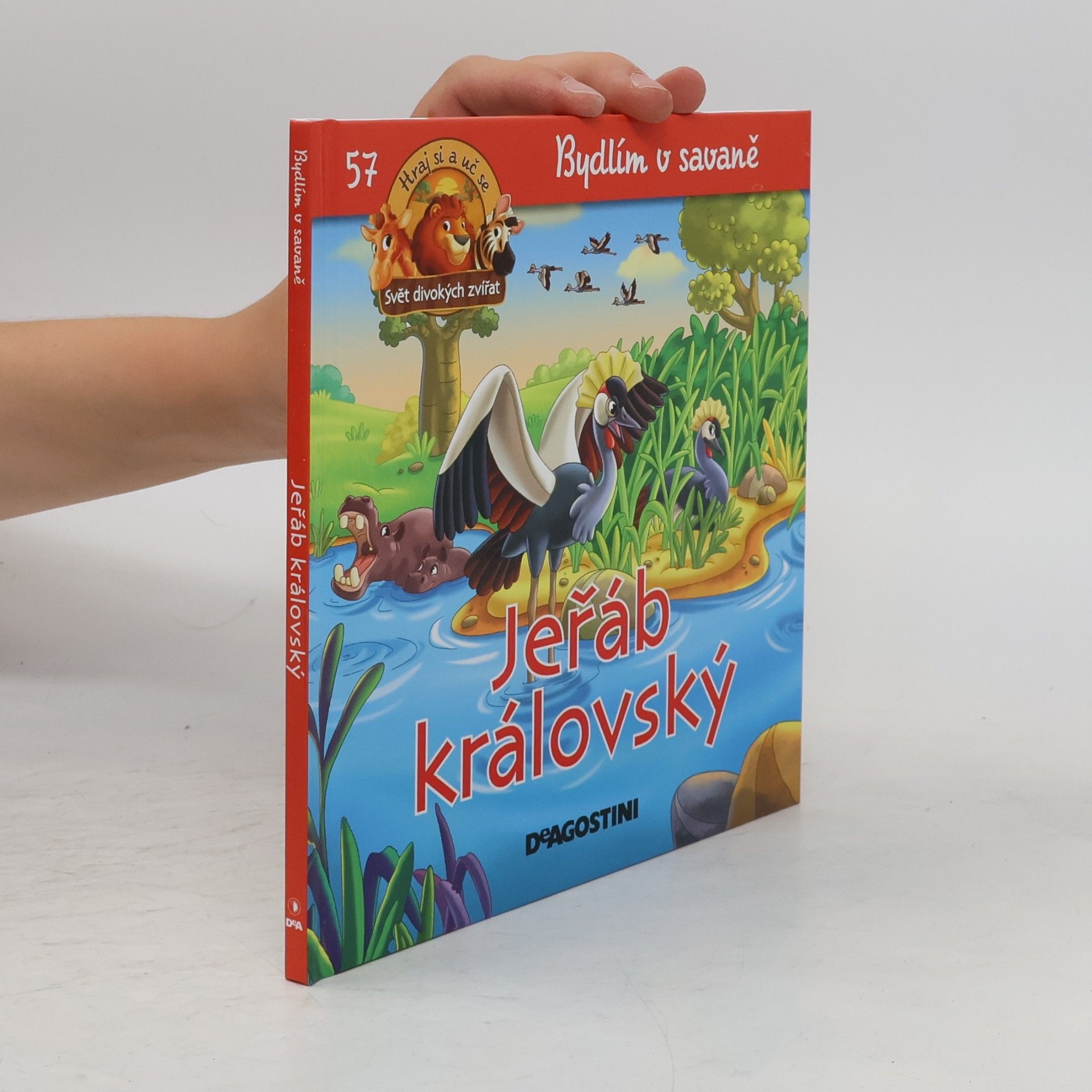 Autorenkollektiv Bydlím v savaně 57. Jeřáb královský
