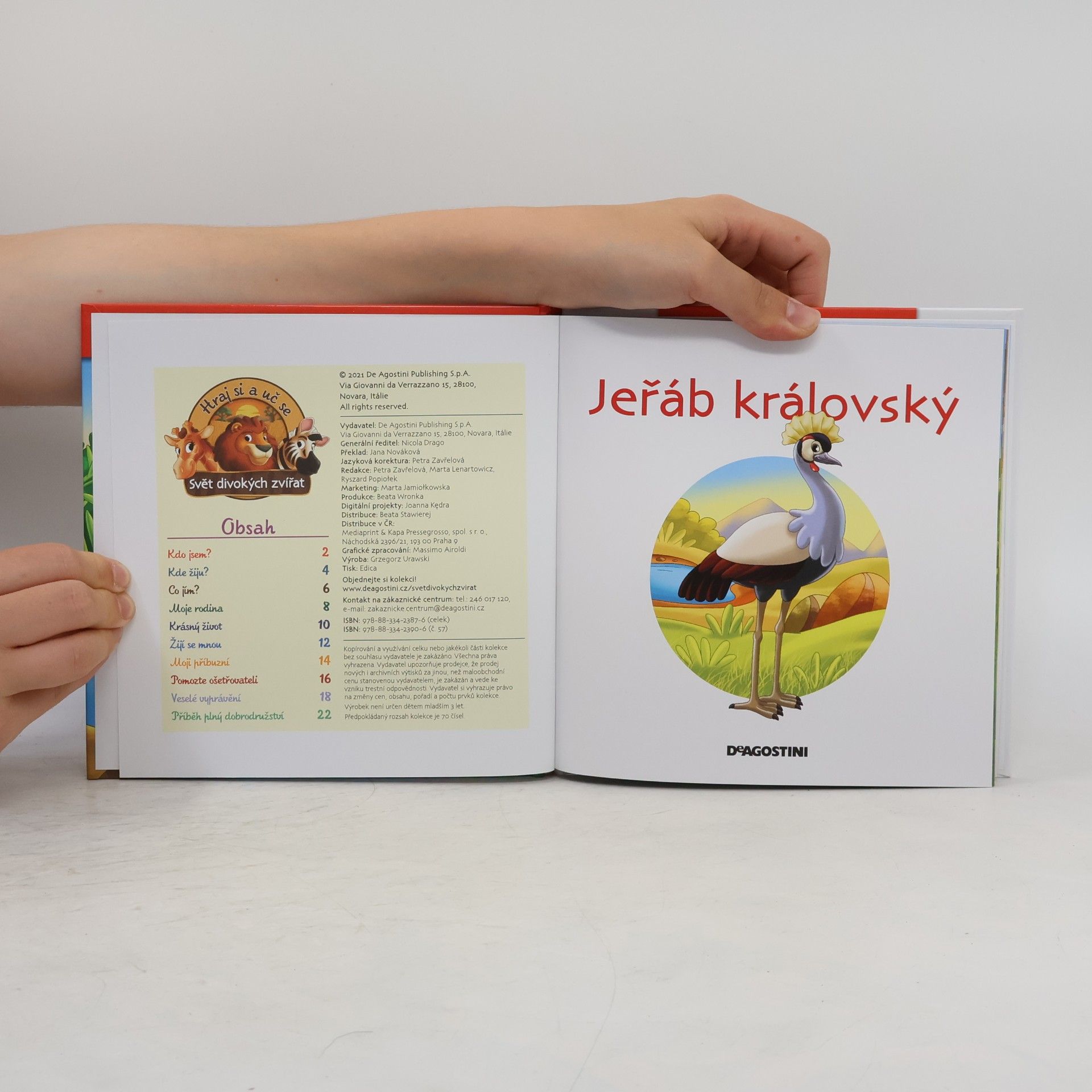 Autorenkollektiv Bydlím v savaně 57. Jeřáb královský