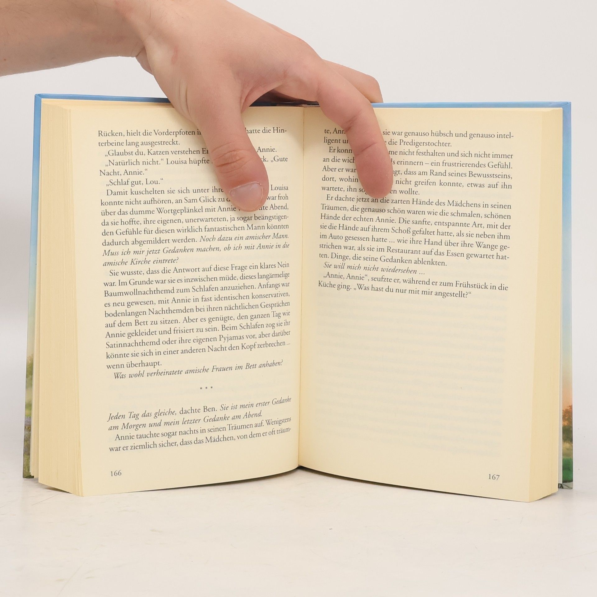 Beverly Lewis Annies Weg - 2: Der Englische
