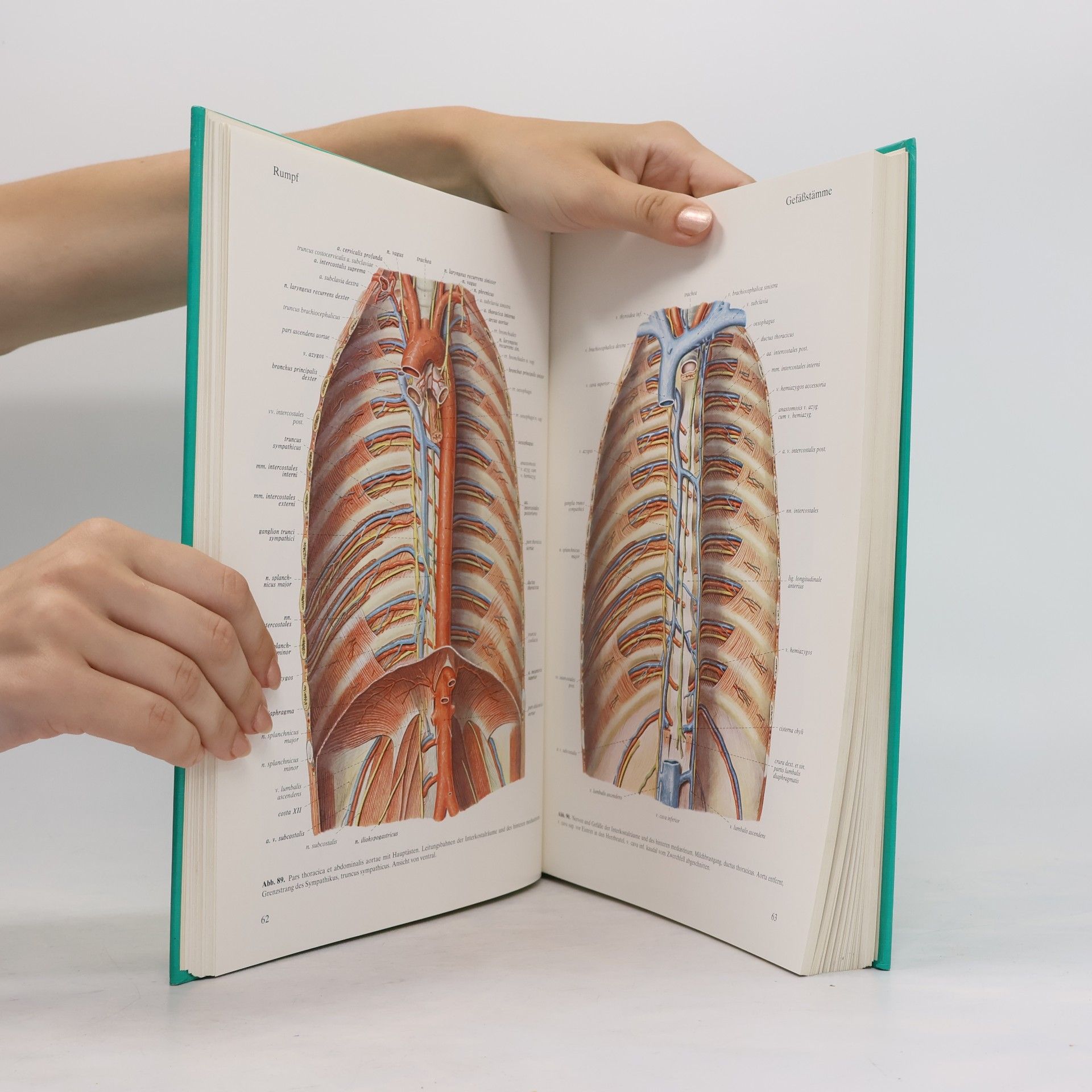 Johannes Sobotta Atlas der Anatomie des Menschen 2