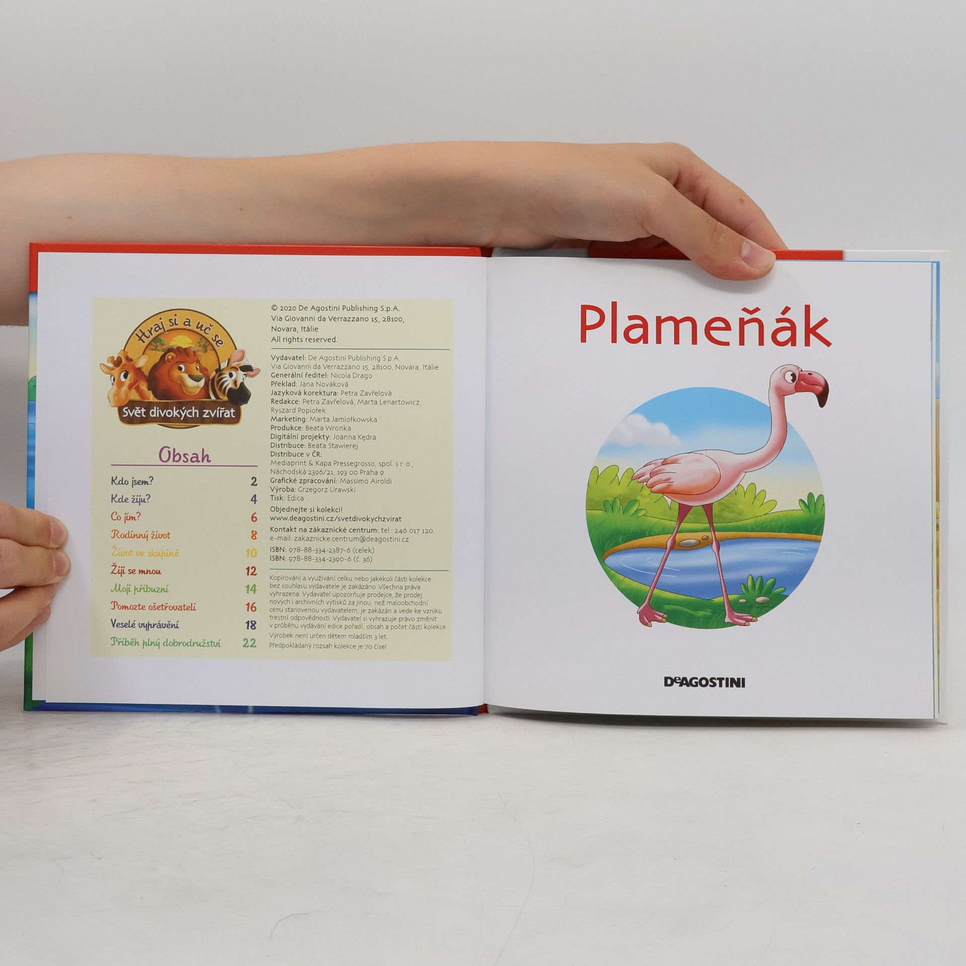 Collectif d'auteurs Bydlím v savaně 36. Plameňák