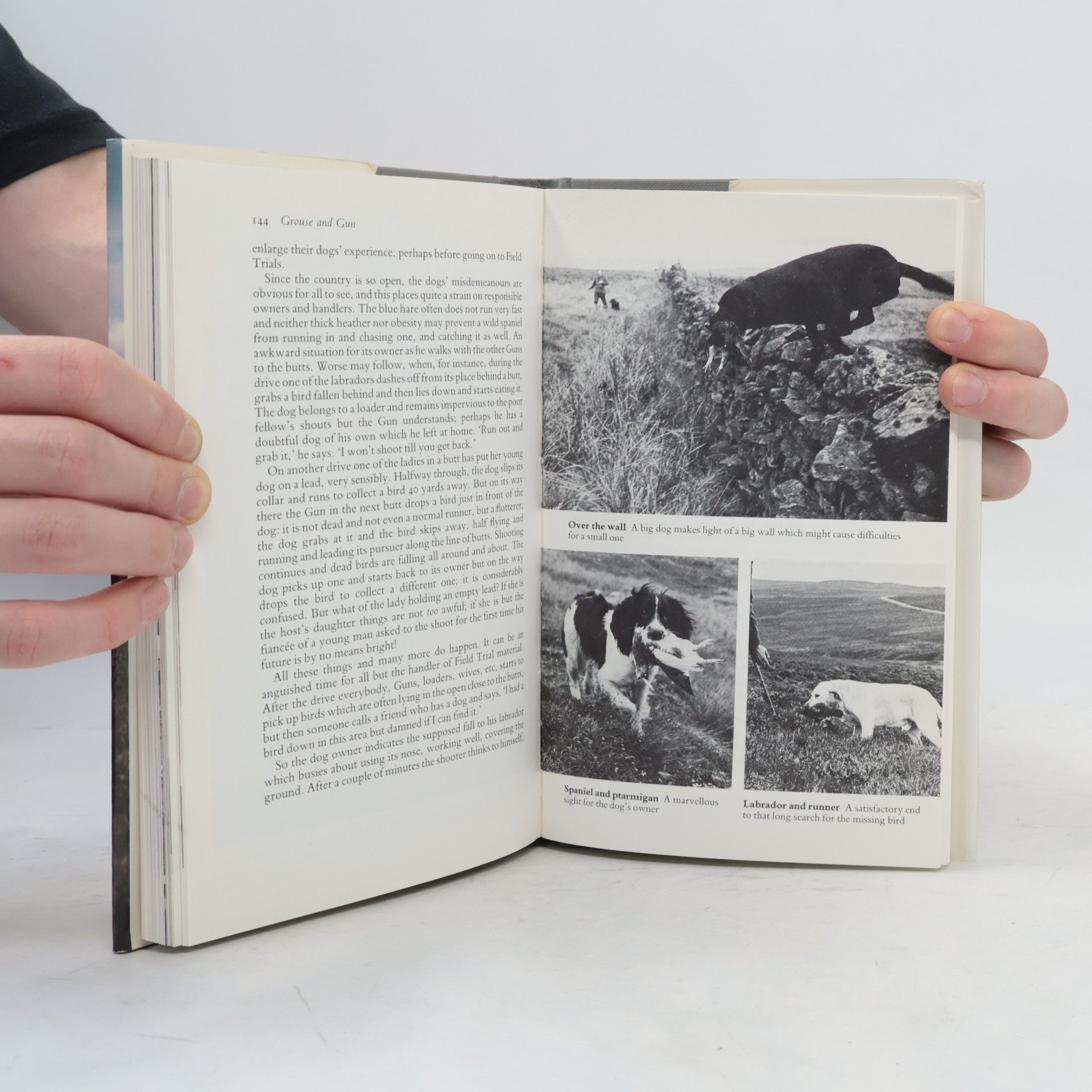 G. L. Carlisle Grouse and Gun