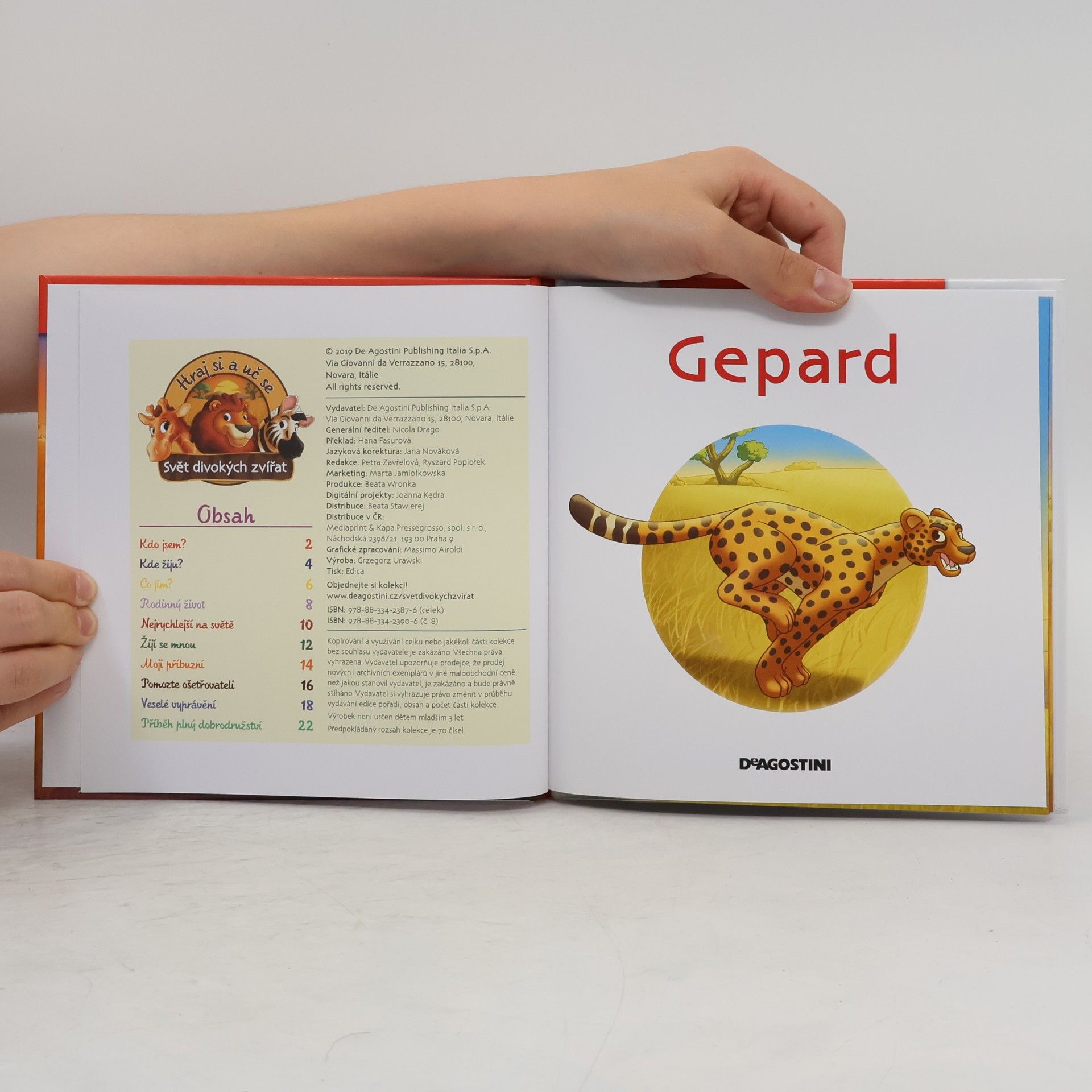 Kolektiv autorů Bydlím v Savaně 8. Gepard