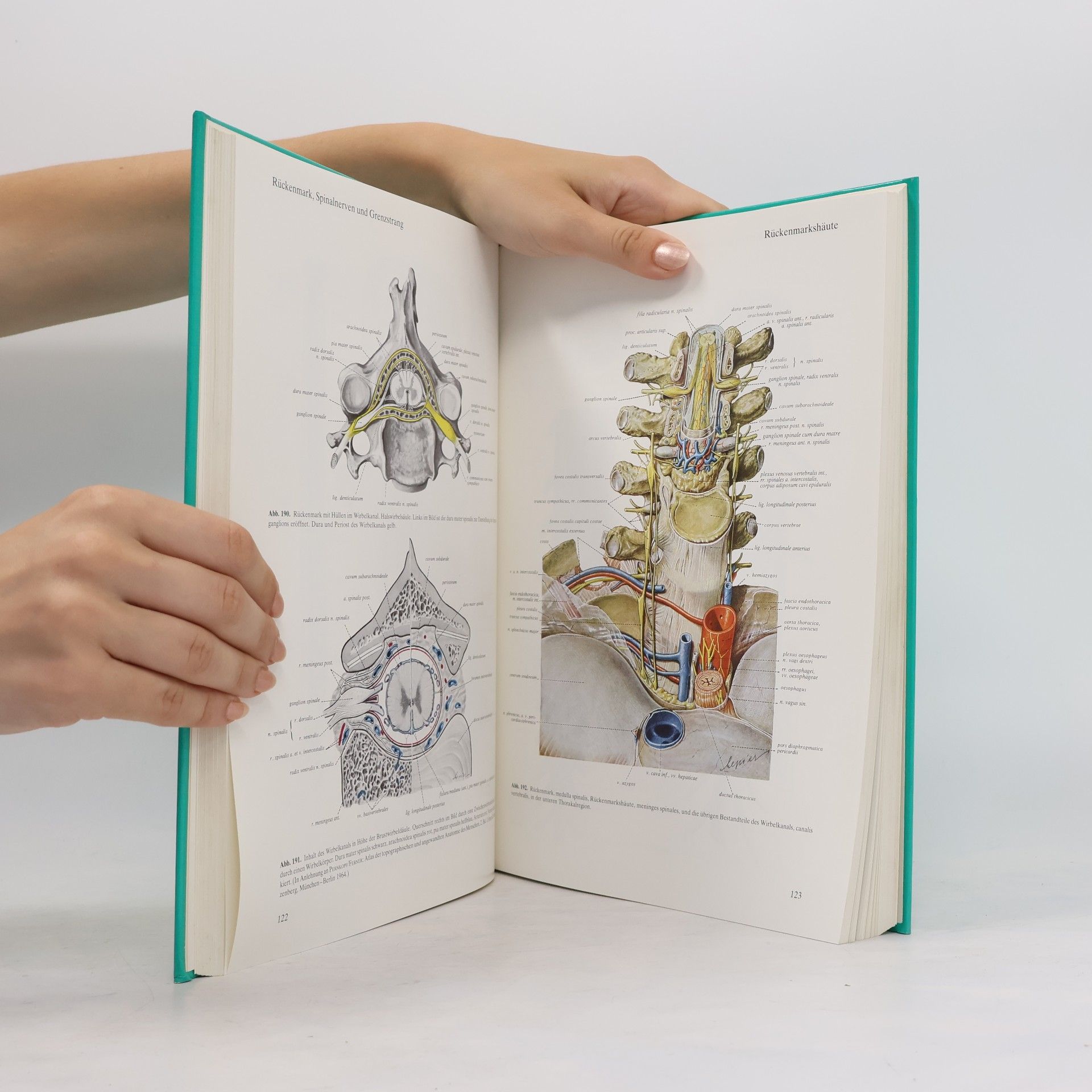 Johannes Sobotta Atlas der Anatomie des Menschen 1