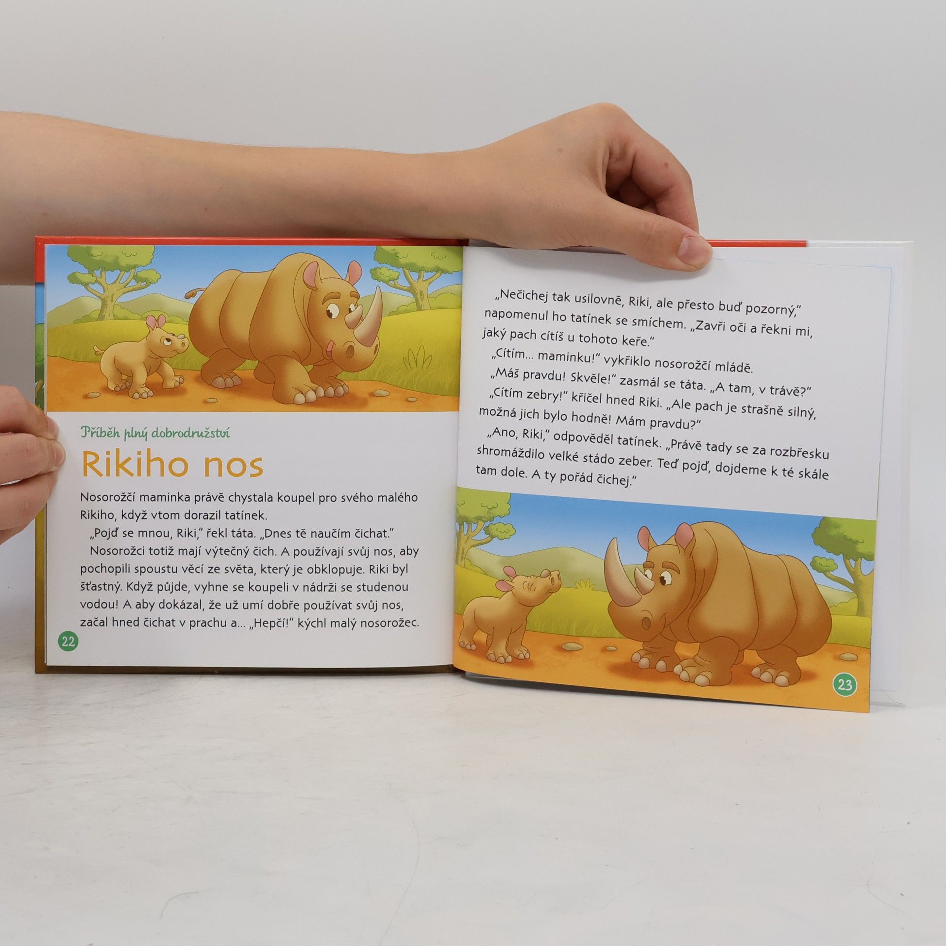 Kolektiv autorů Bydlím v savaně 6. Gazela