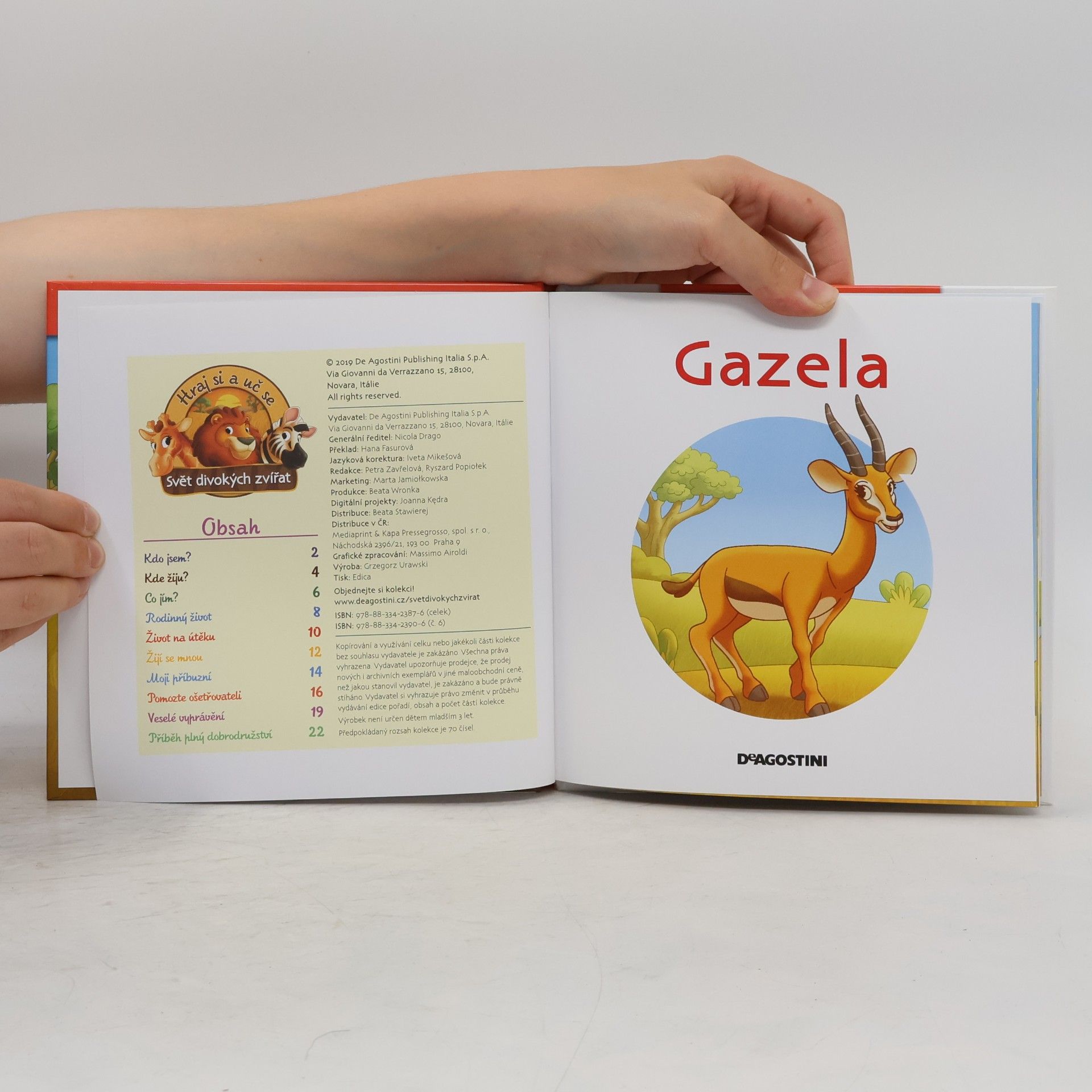 Kolektiv autorů Bydlím v savaně 6. Gazela