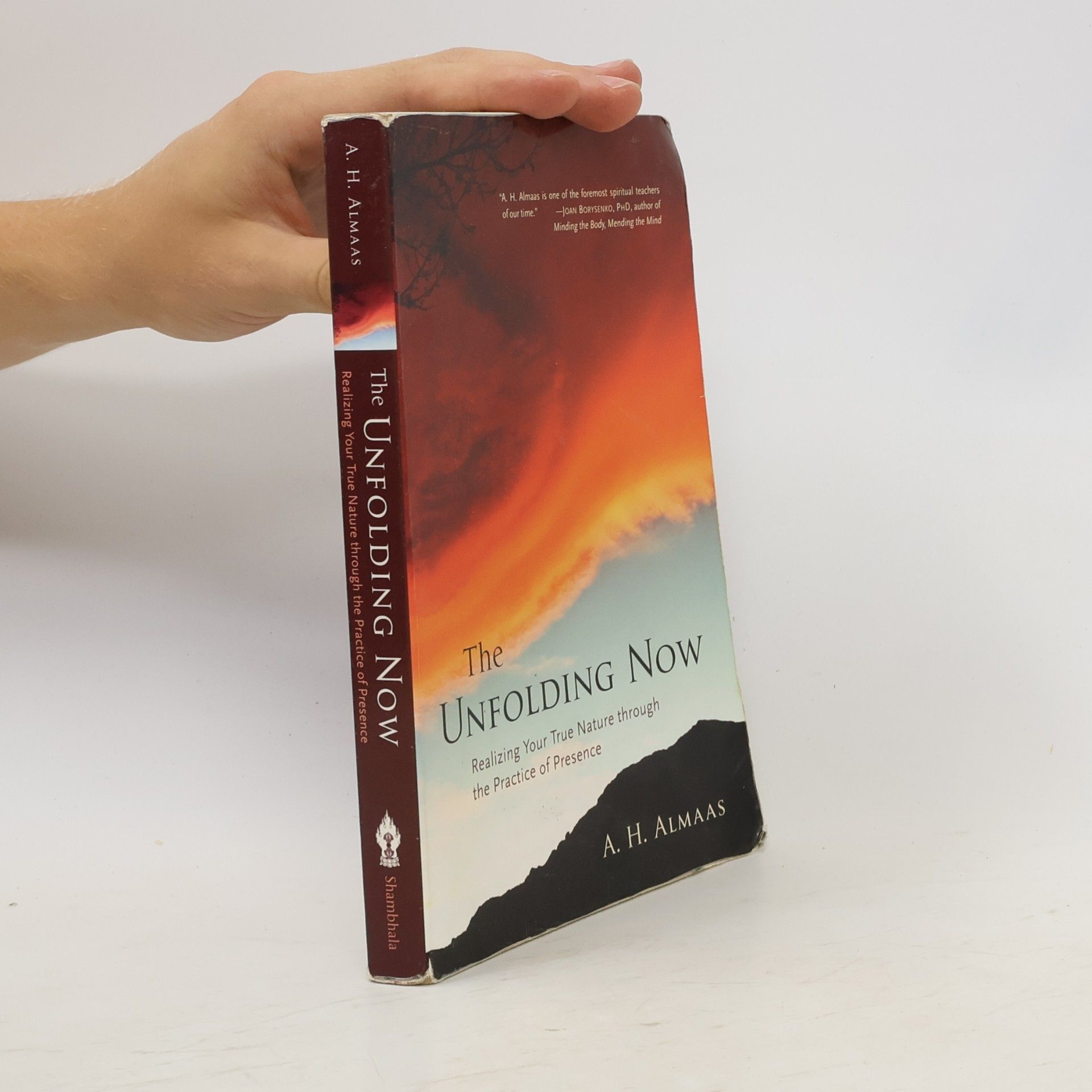 The unfolding now: realizing your true nature through the practice of presence