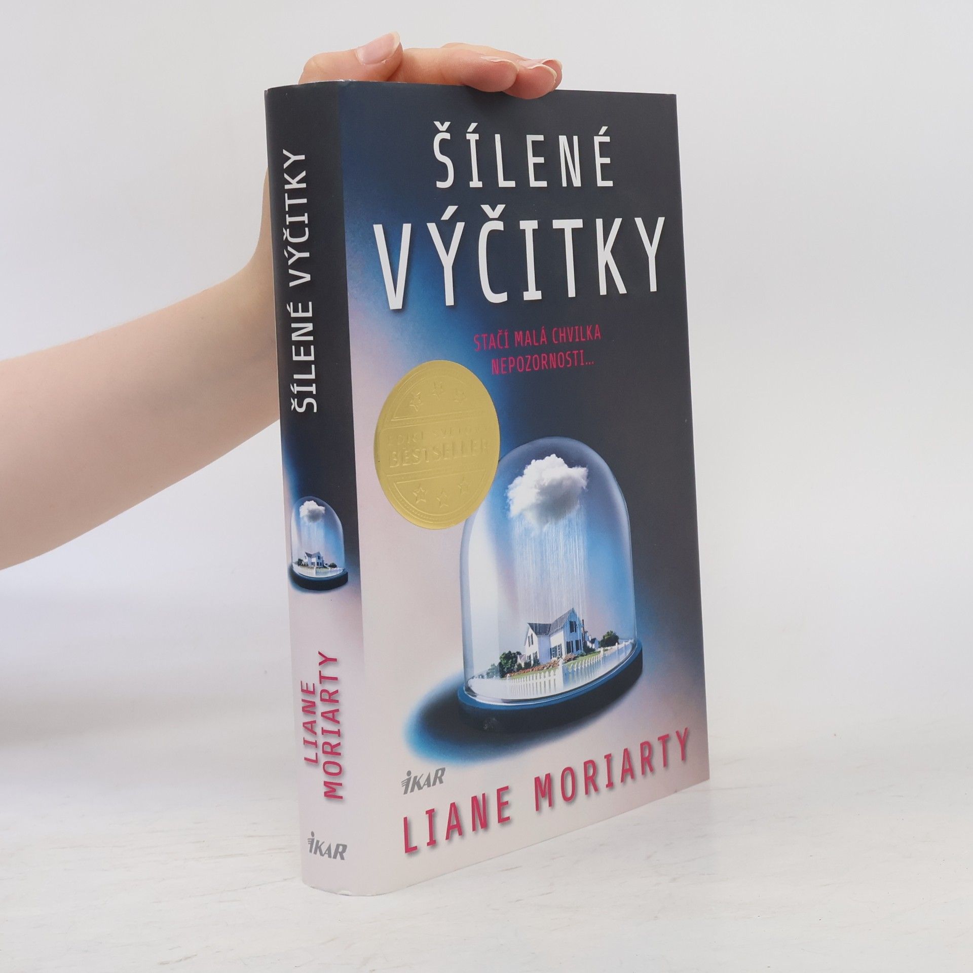 Liane Moriarty Šílené výčitky