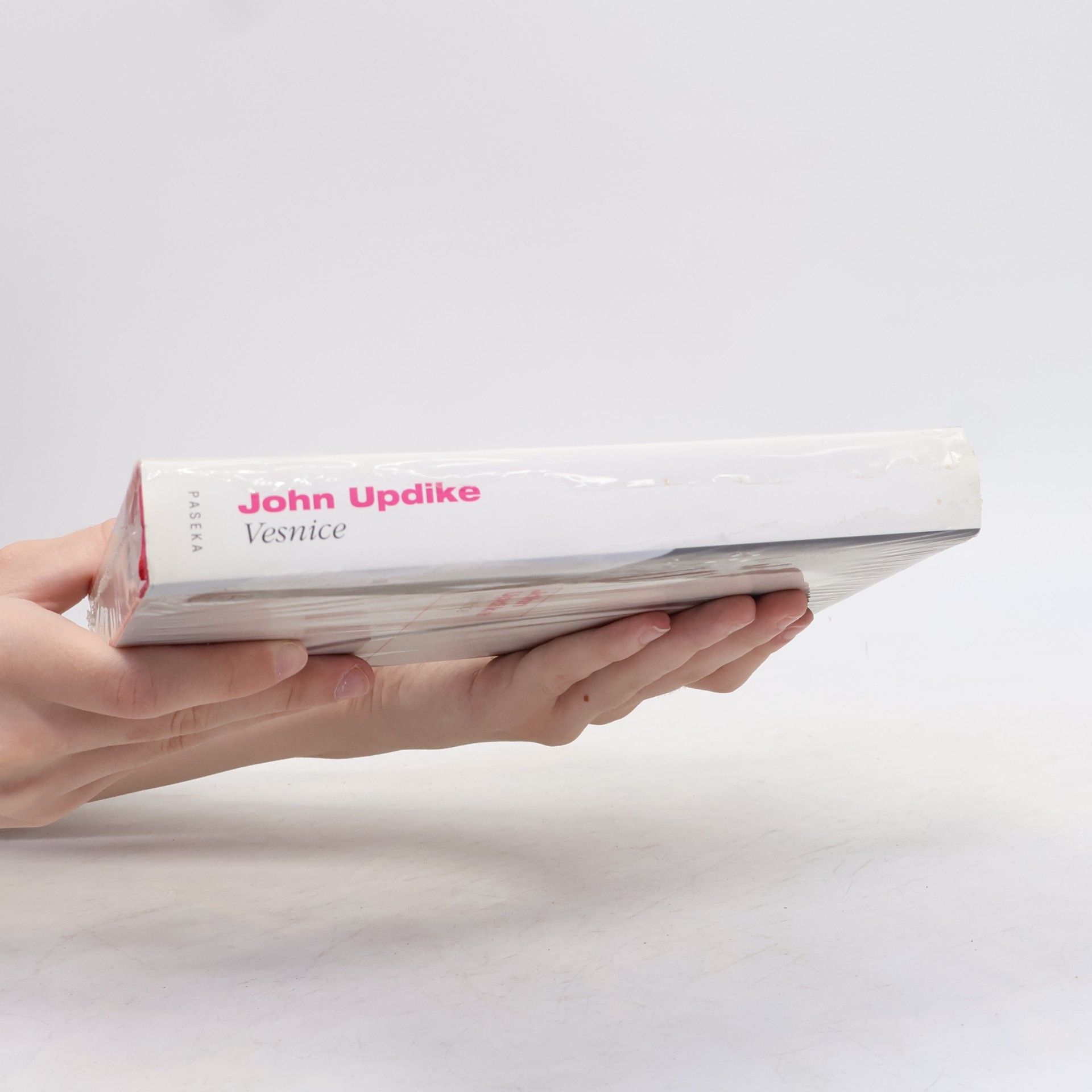 John Updike Vesnice