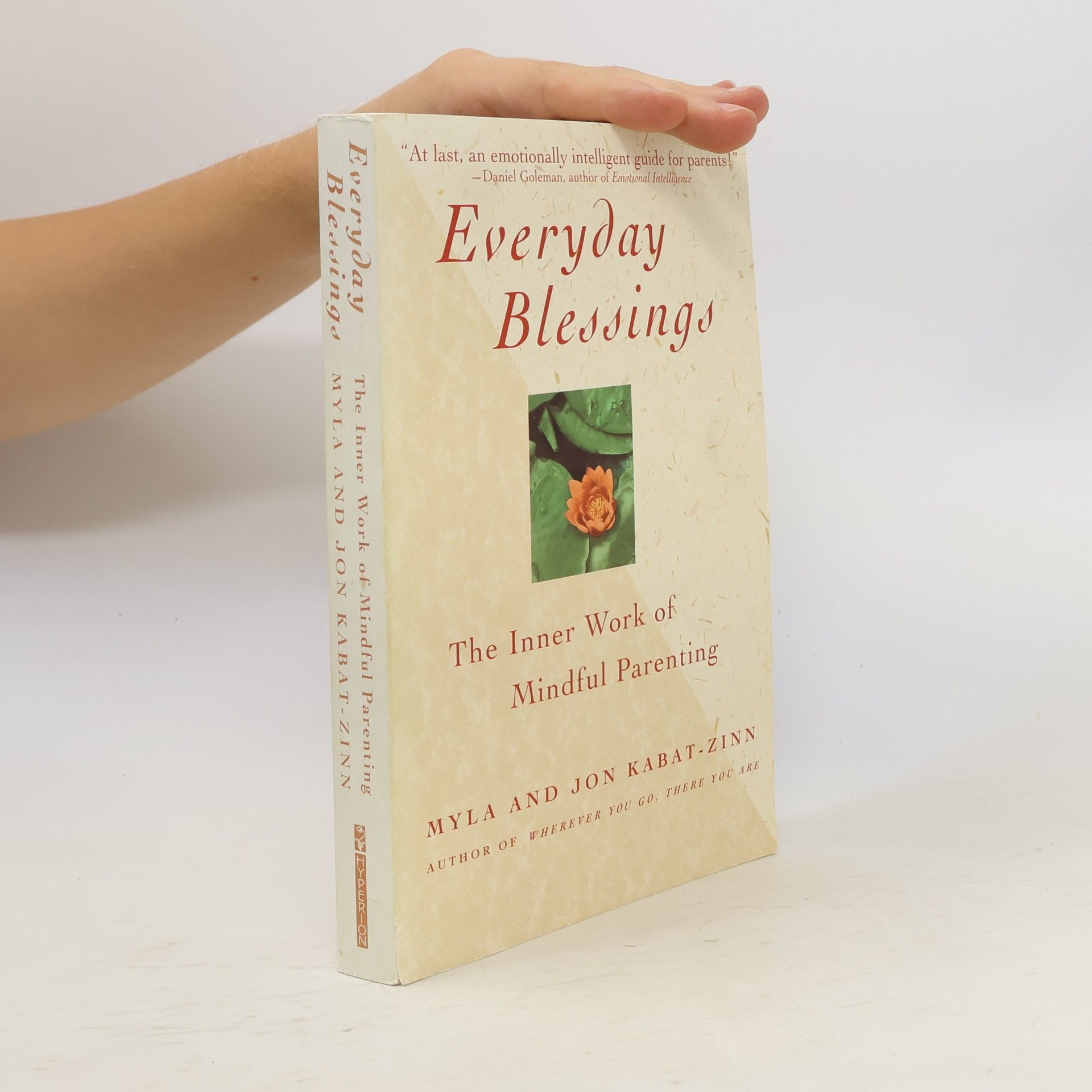 Myla Kabat zinn Everyday Blessings
