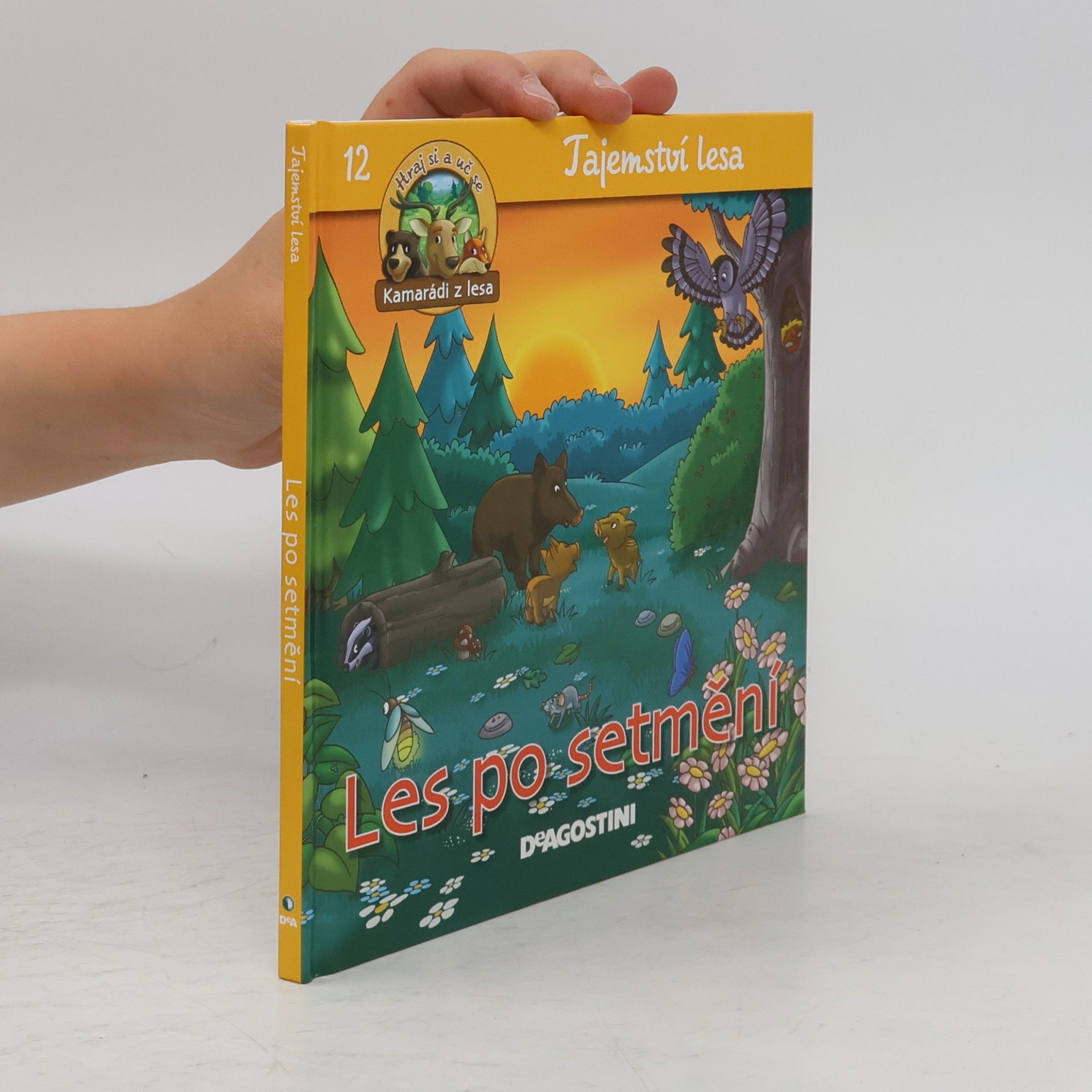 Collectif d'auteurs Tajemství lesa 12. Les po setmění